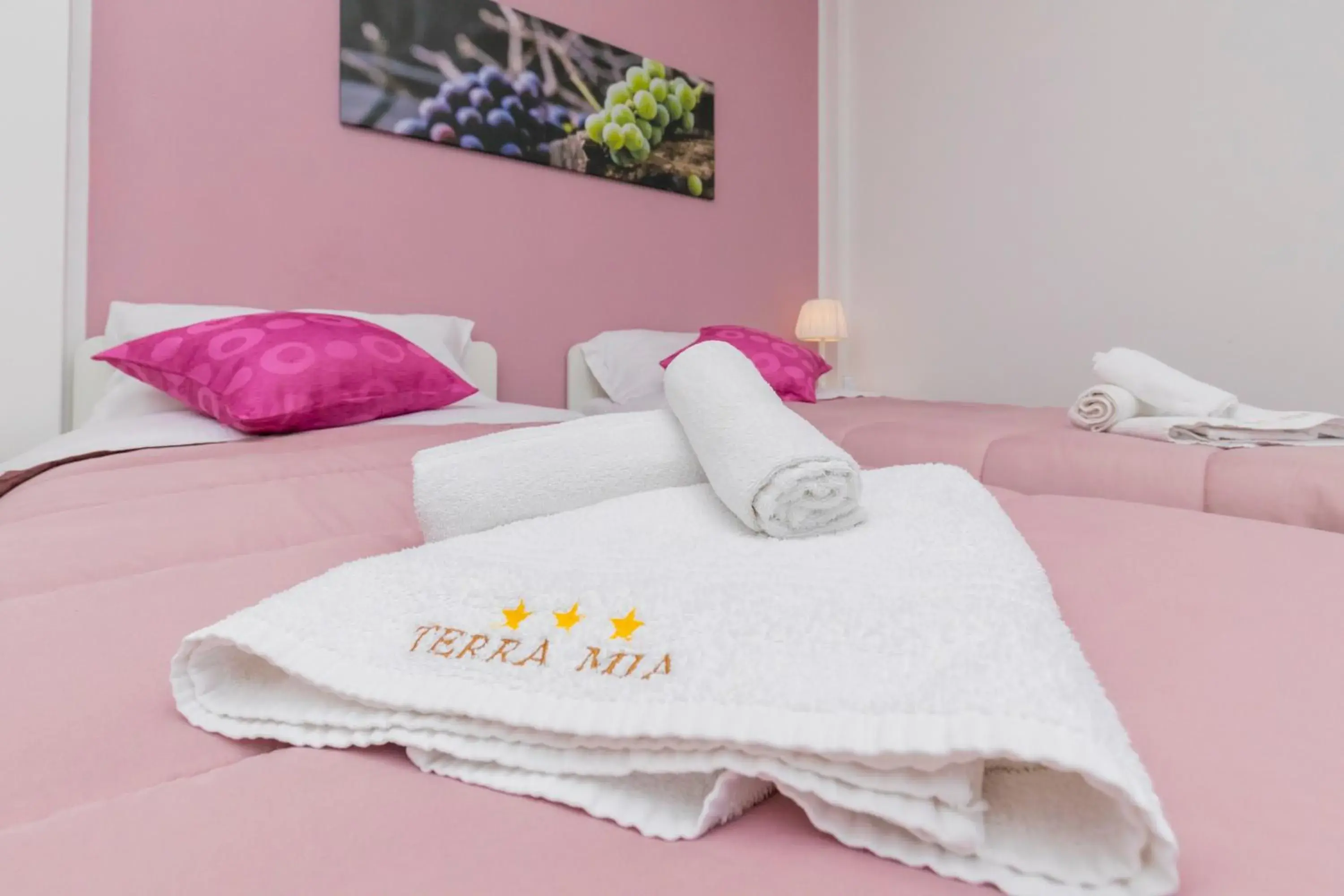 Double or Twin Room with Extra Bed - single occupancy in TERRA MIA Double or Twin Room with Extra Bed - single occupancy in TERRA MIA