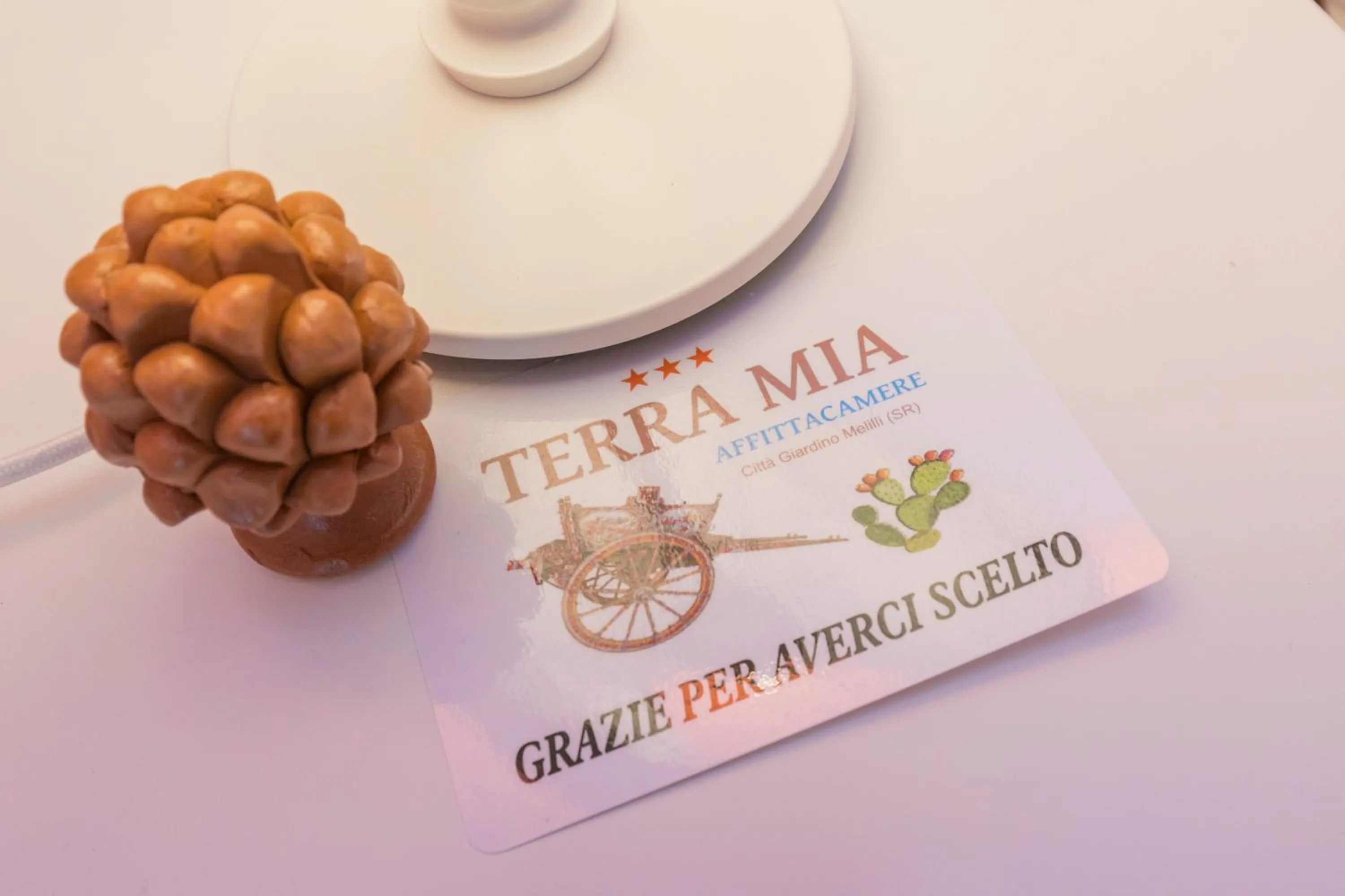 Logo/Certificate/Sign in TERRA MIA