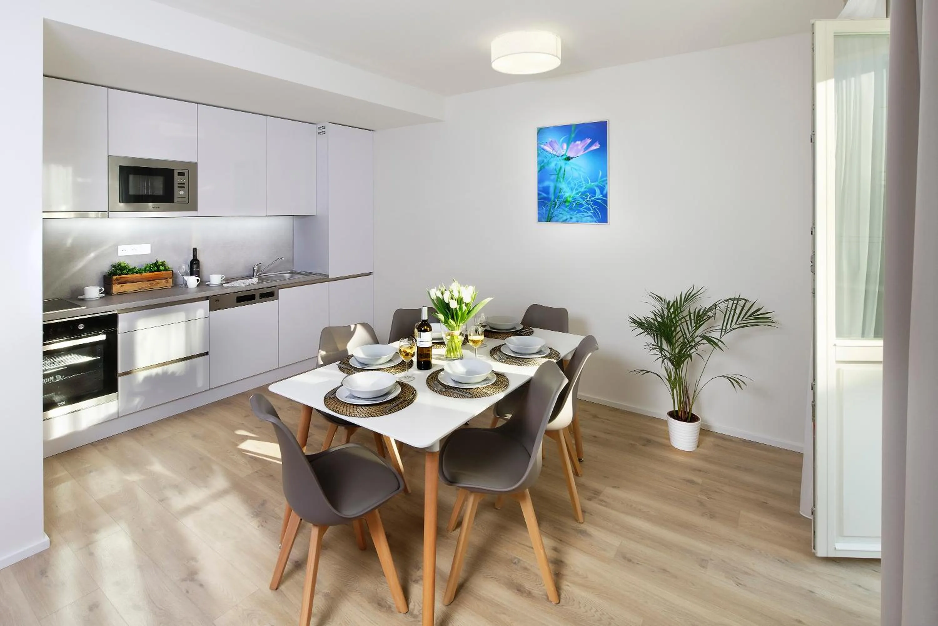 Kitchen or kitchenette in DownTown Suites Jugoslavska