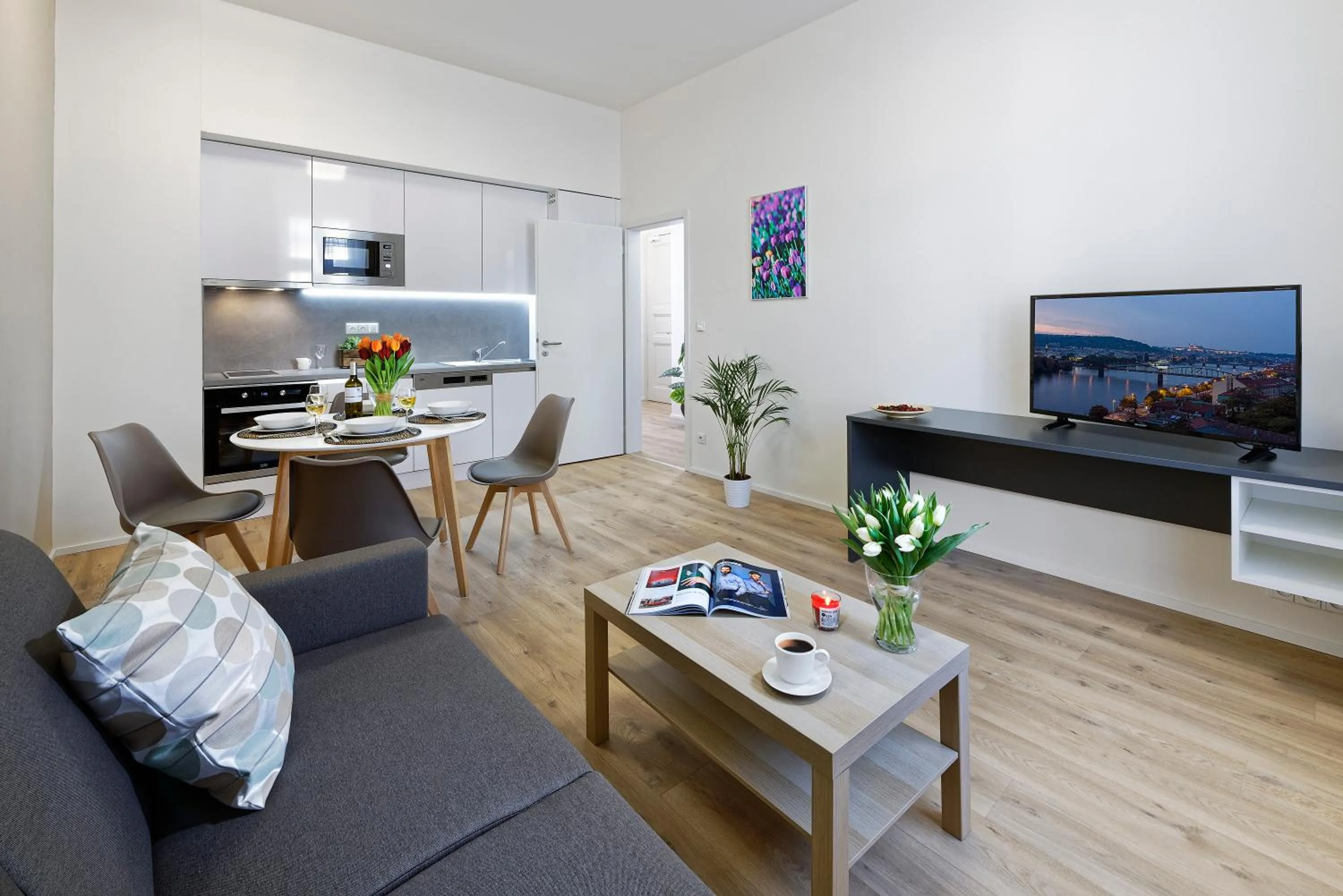 TV and multimedia in DownTown Suites Jugoslavska