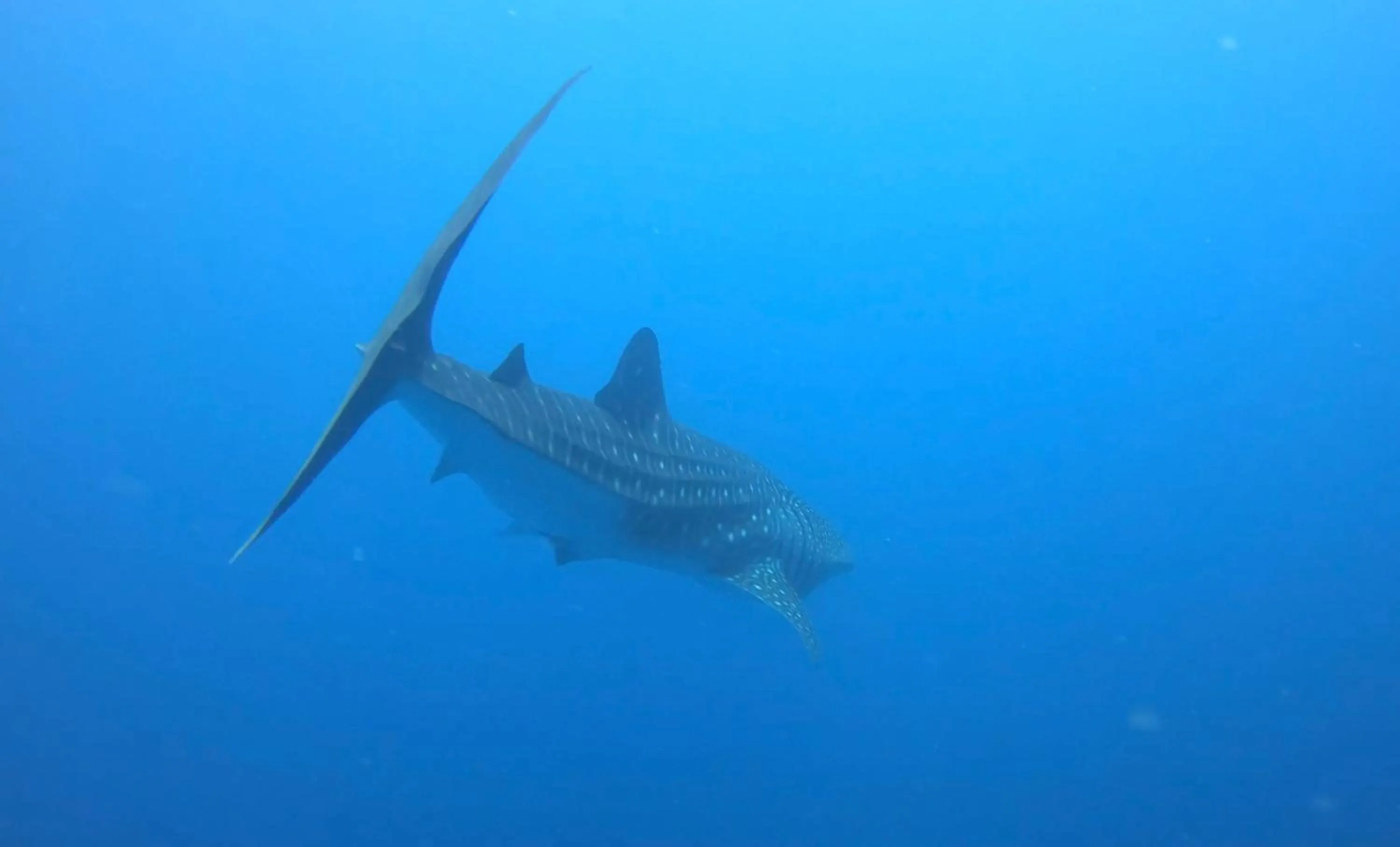 Activities in Isle Royal Inn