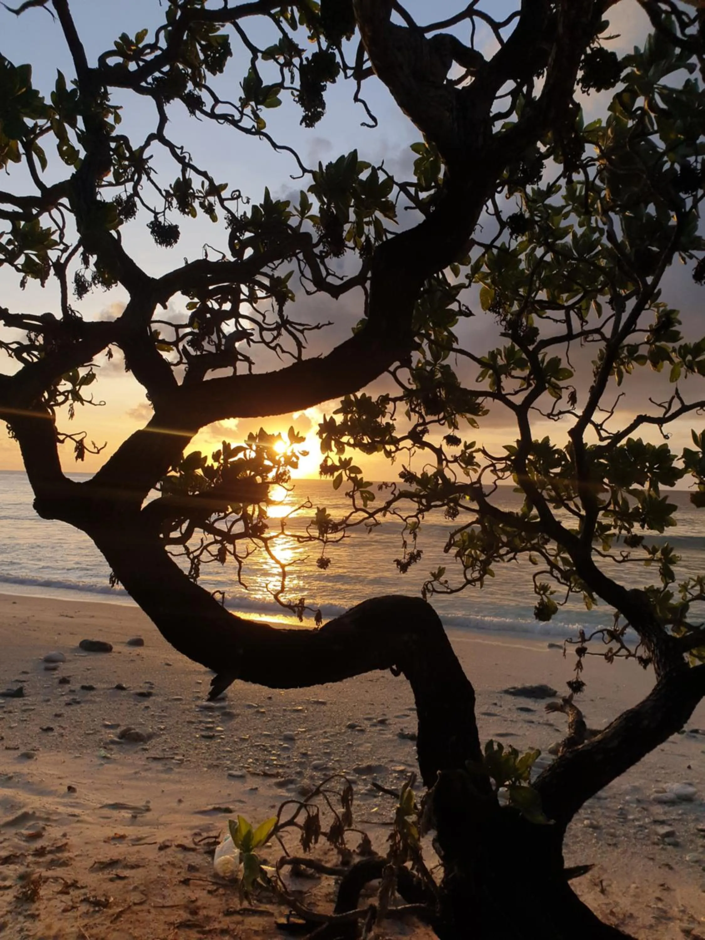 Day in Isle Royal Inn