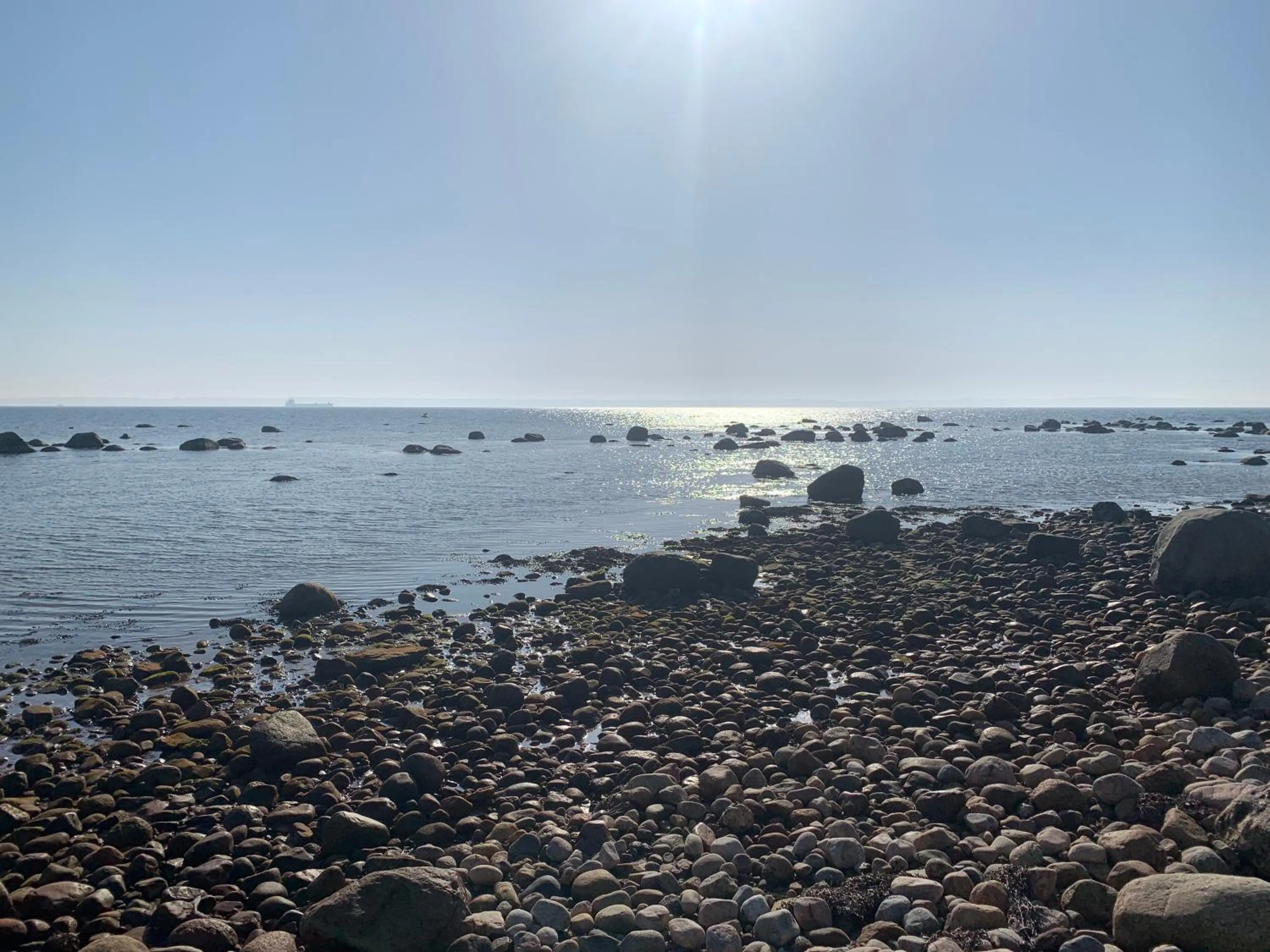 Natural landscape in Vingårdens Bed & Breakfast