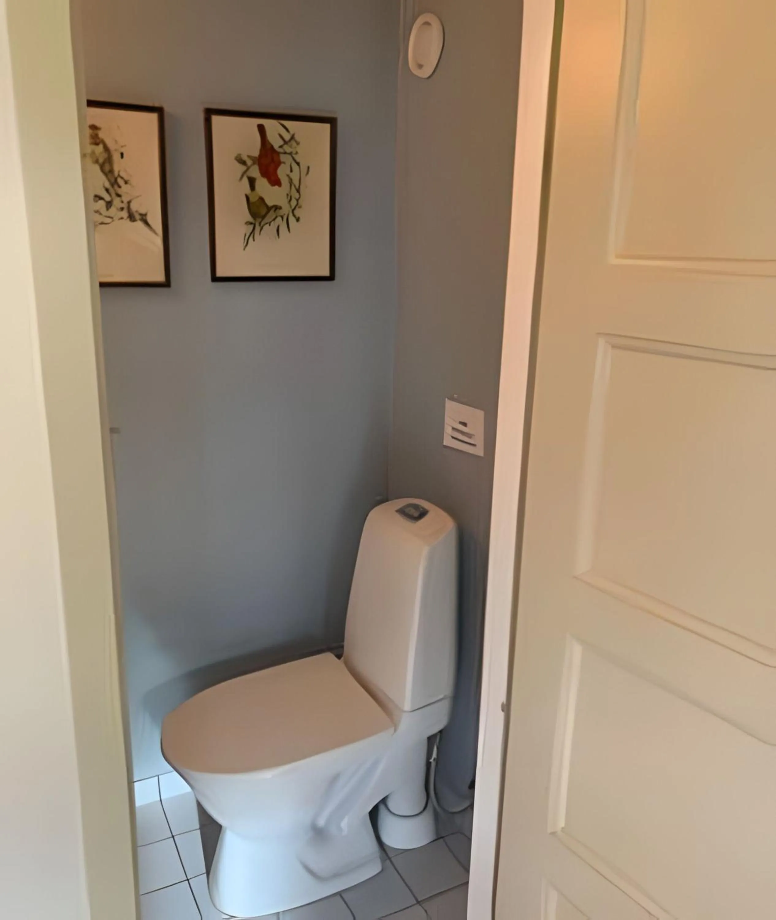 Toilet in Vingårdens Bed & Breakfast