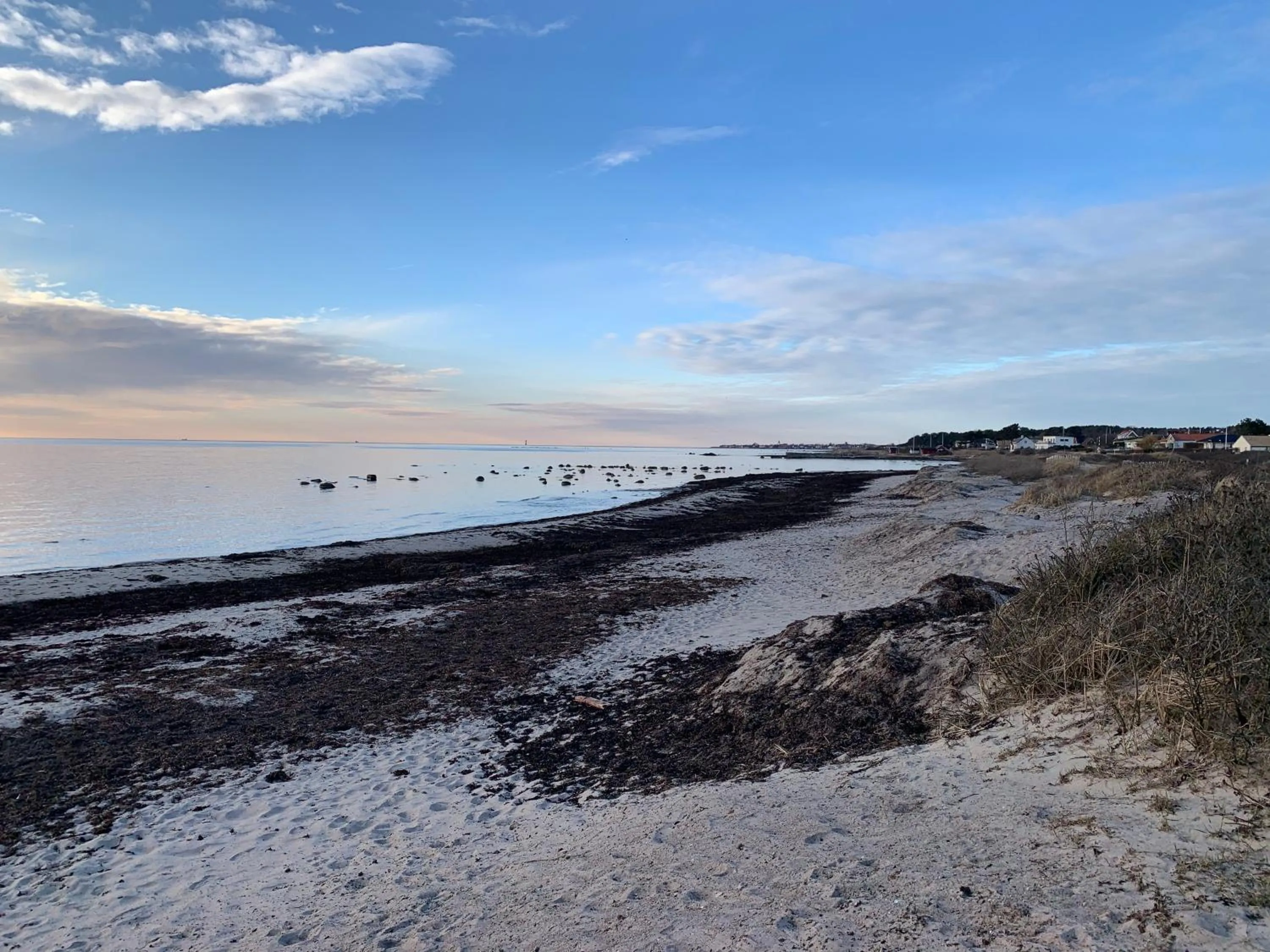 Beach in Vingårdens Bed & Breakfast