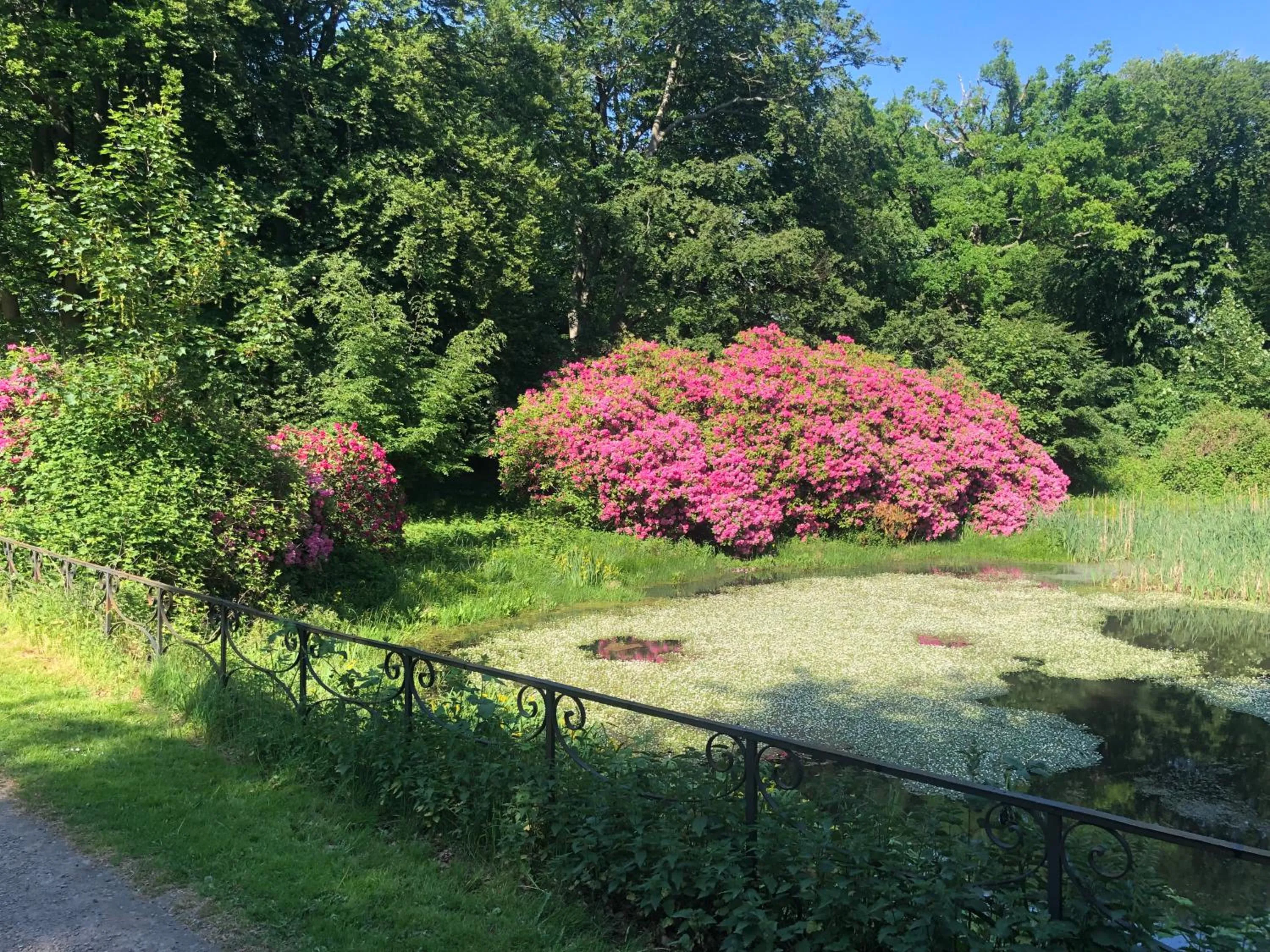 Nearby landmark in Vingårdens Bed & Breakfast