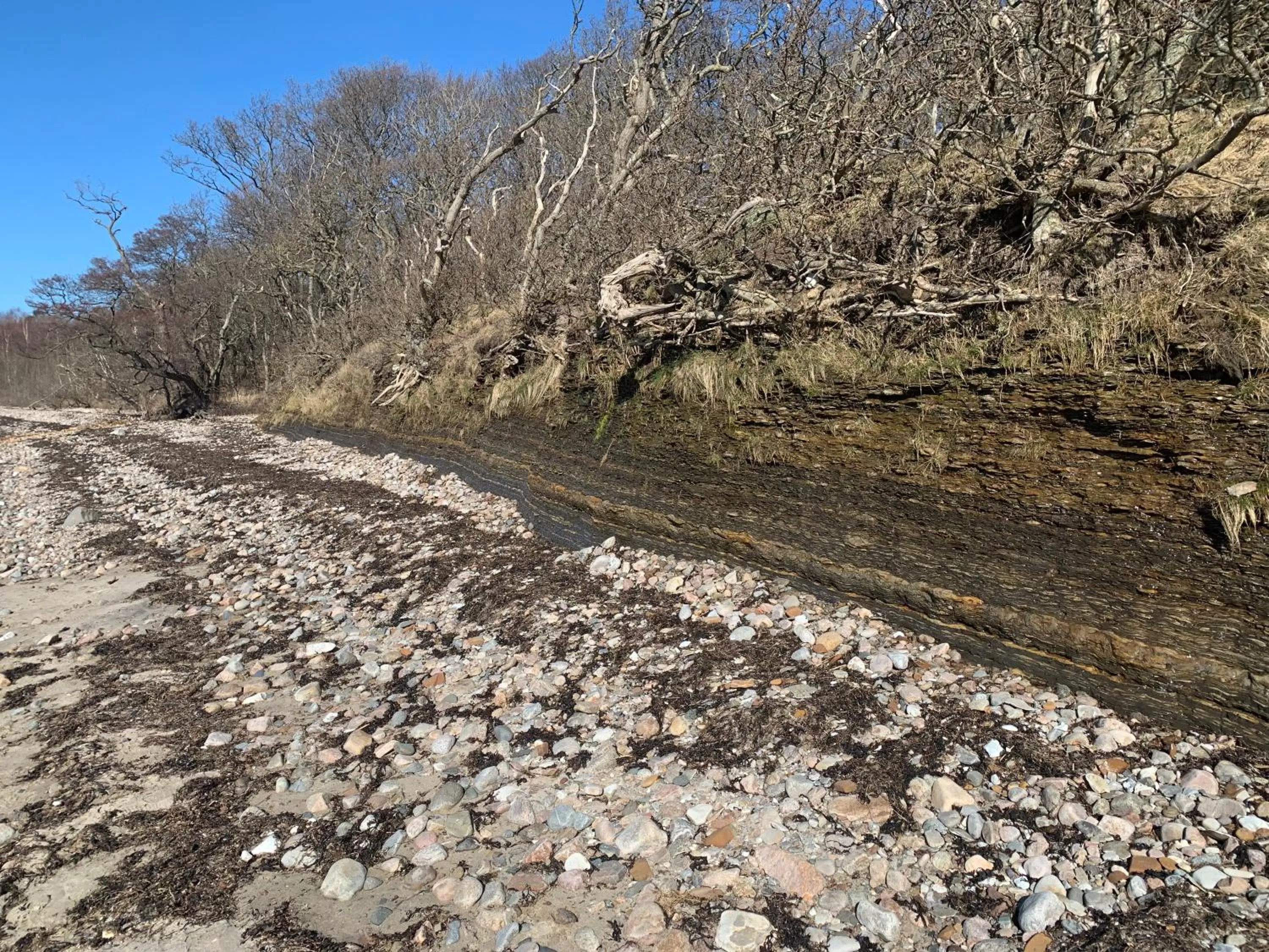 Vingårdens Bed & Breakfast