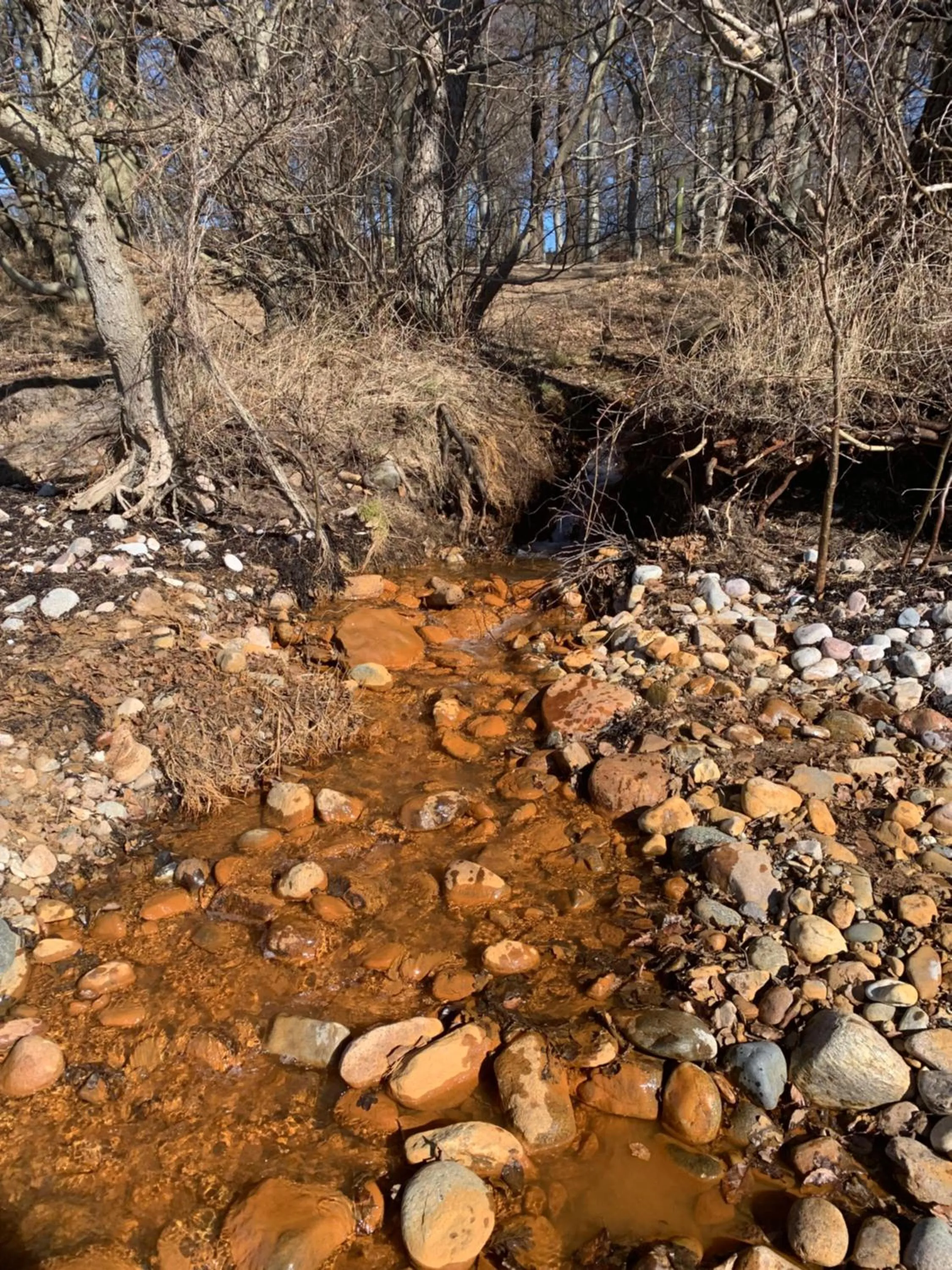 Vingårdens Bed & Breakfast