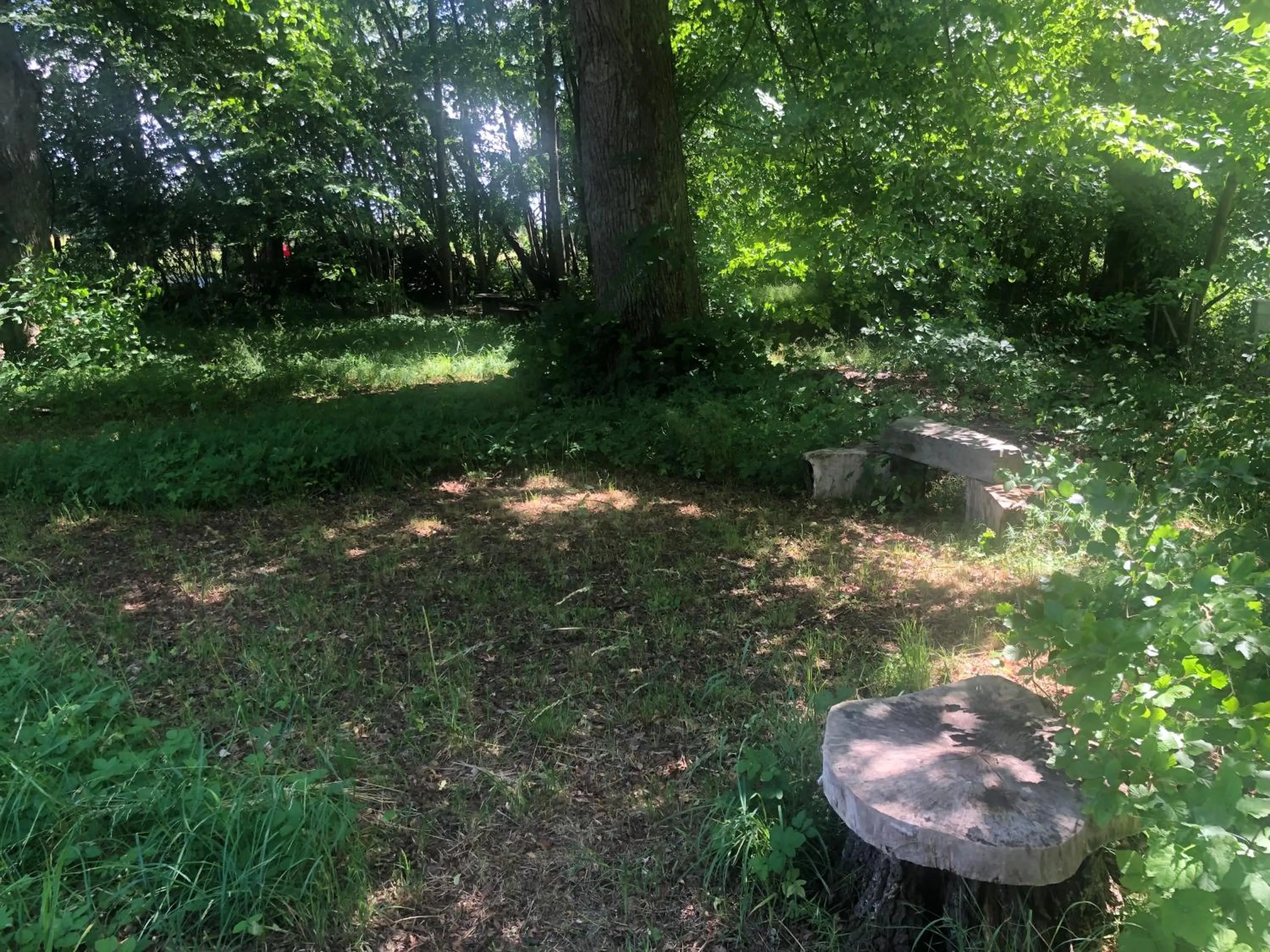 Vingårdens Bed & Breakfast