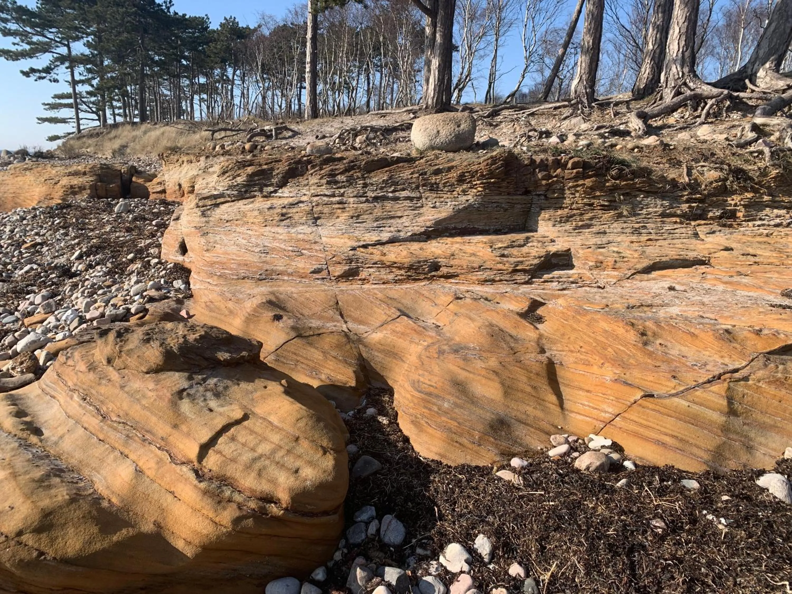 Natural landscape in Vingårdens Bed & Breakfast