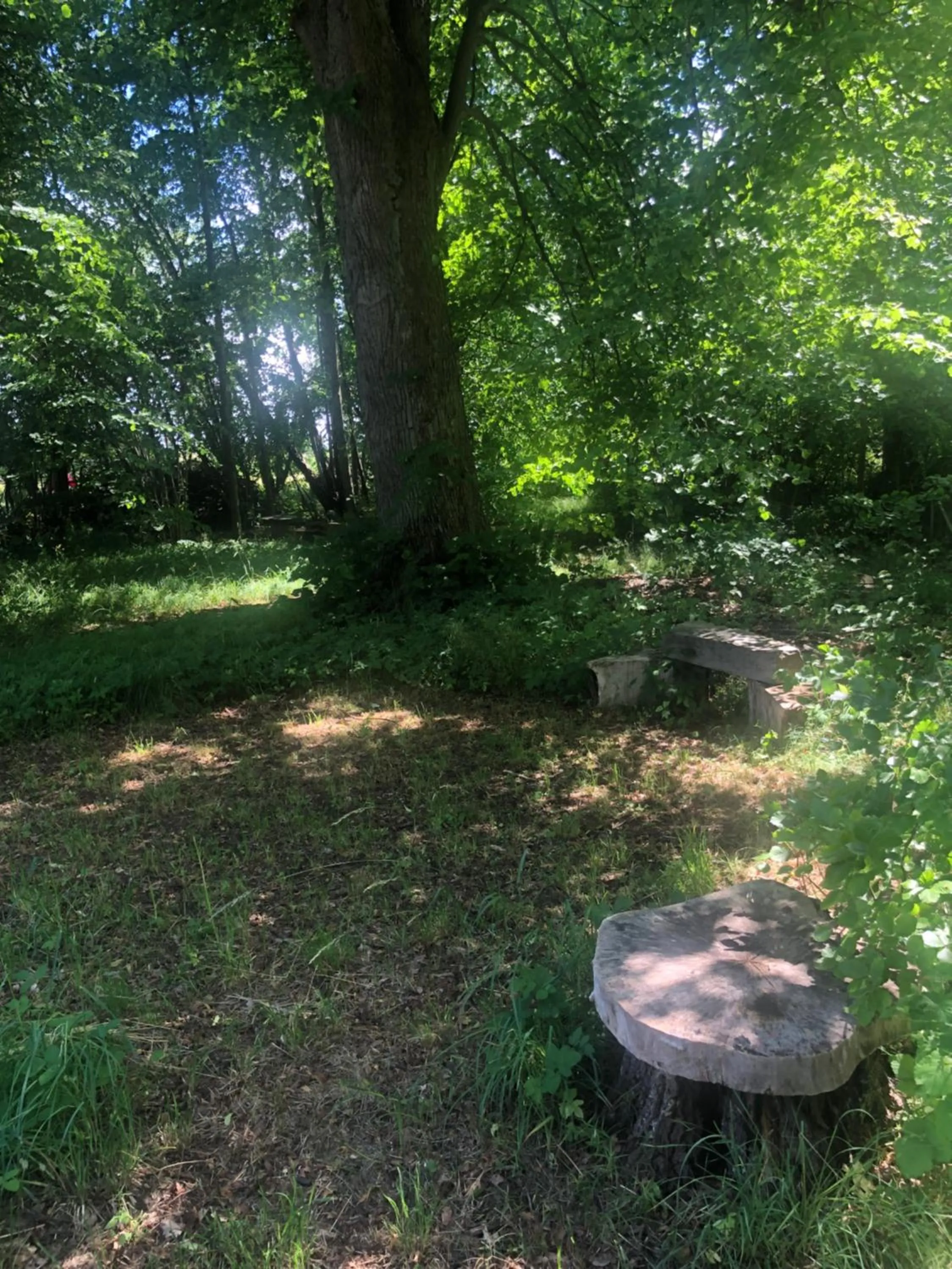 Vingårdens Bed & Breakfast