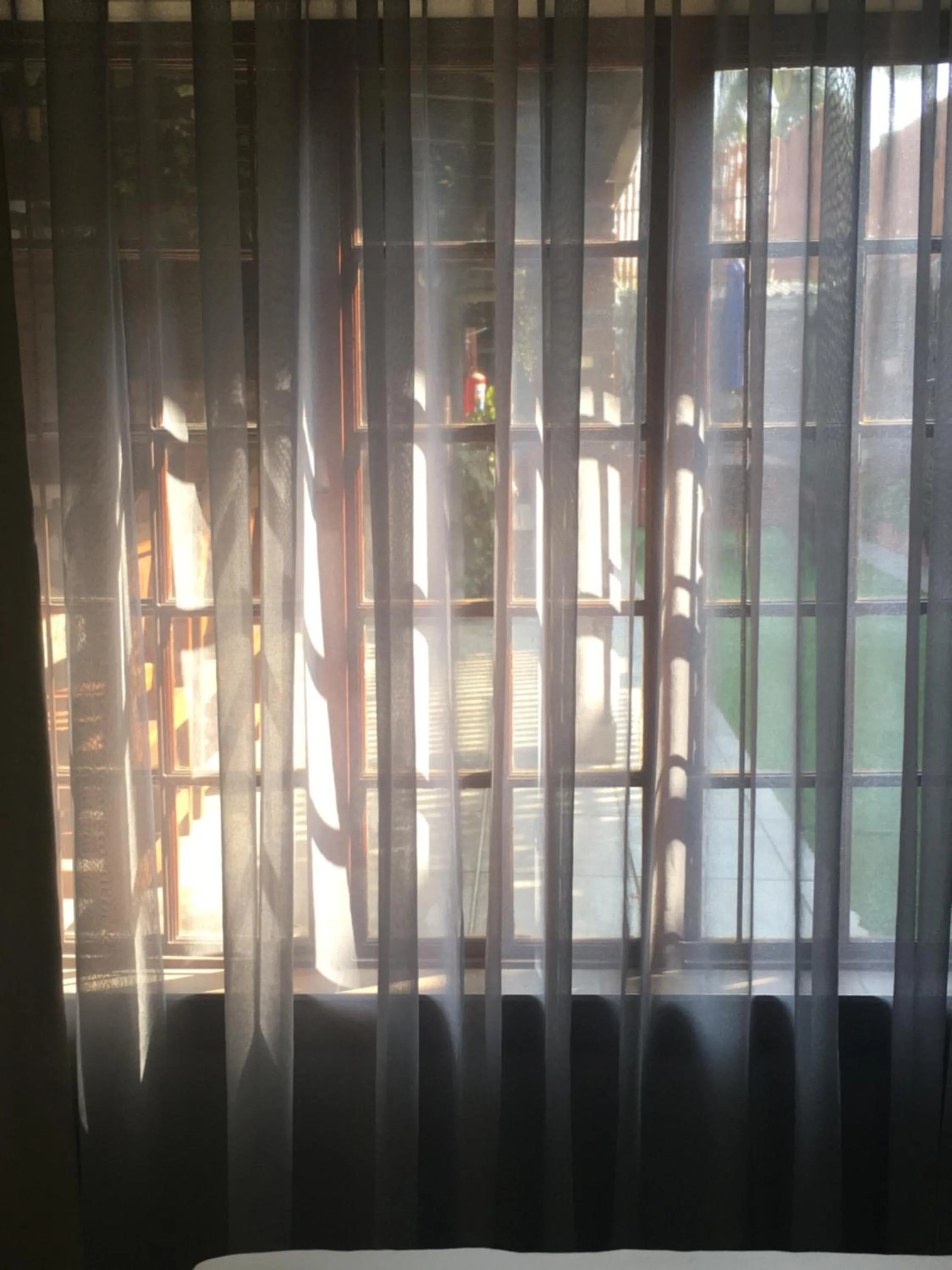 Garden view in The Travel Inn Durban