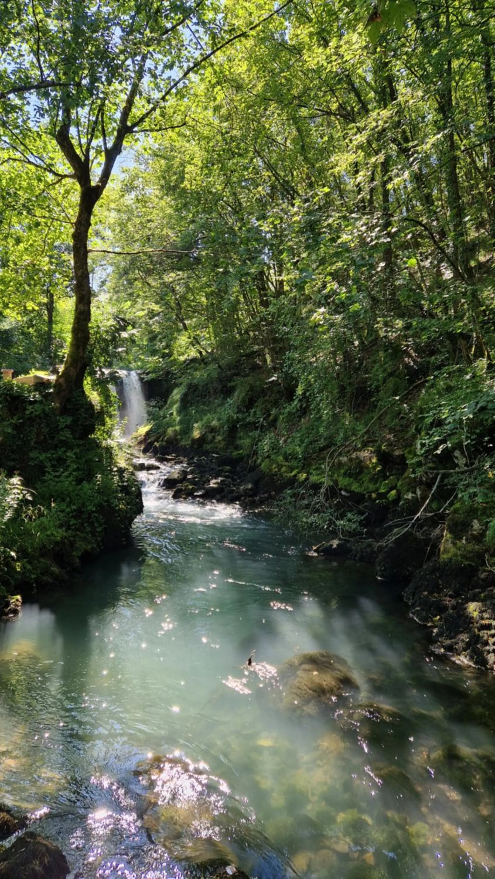 Domacinstvo Ubovic