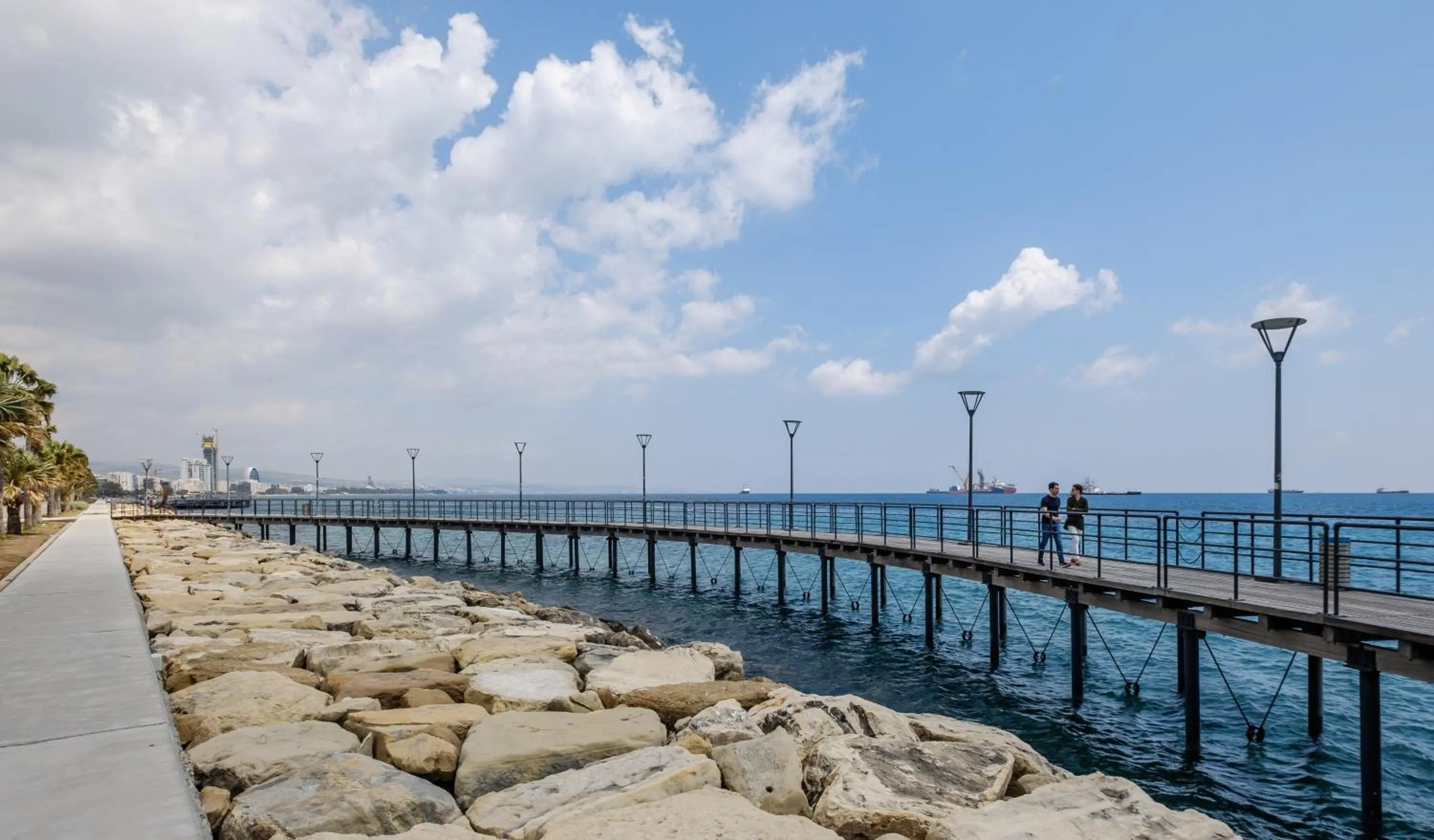 Natural landscape in Limassol Old Town Mansion