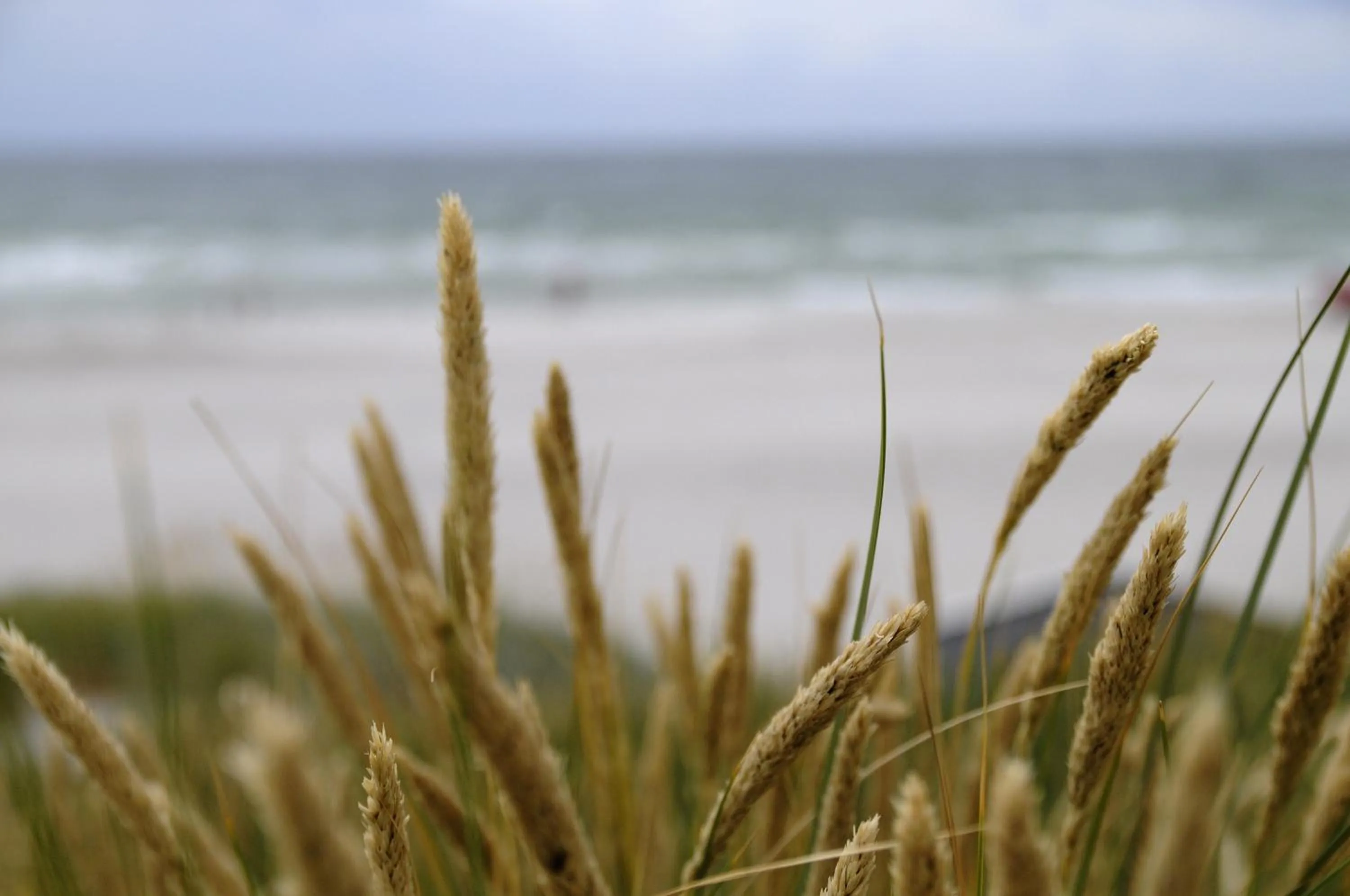 Other in Skanörs Gästgifvaregård