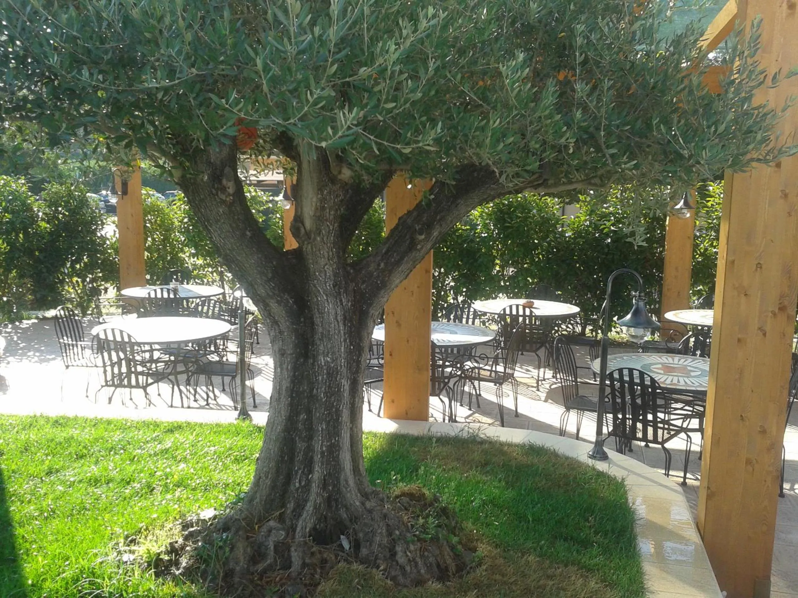 Patio in Hotel Villa Aurora