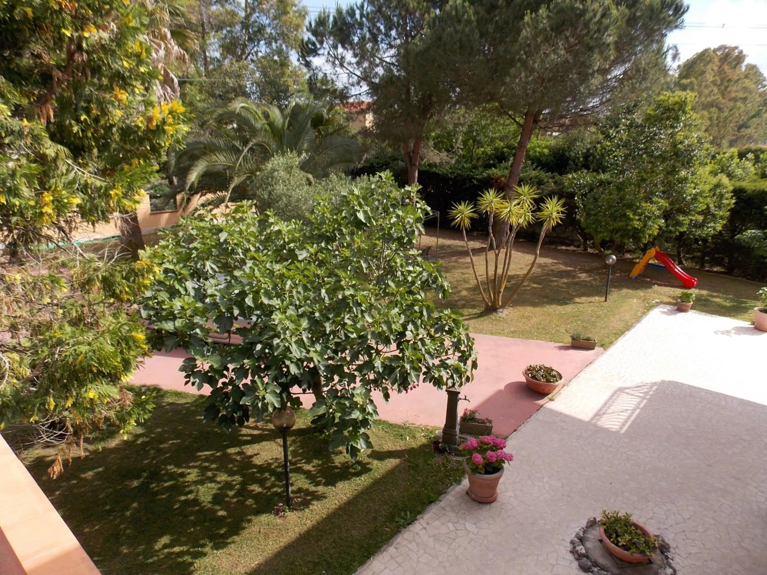 Garden view in Hotel Villa Aurora