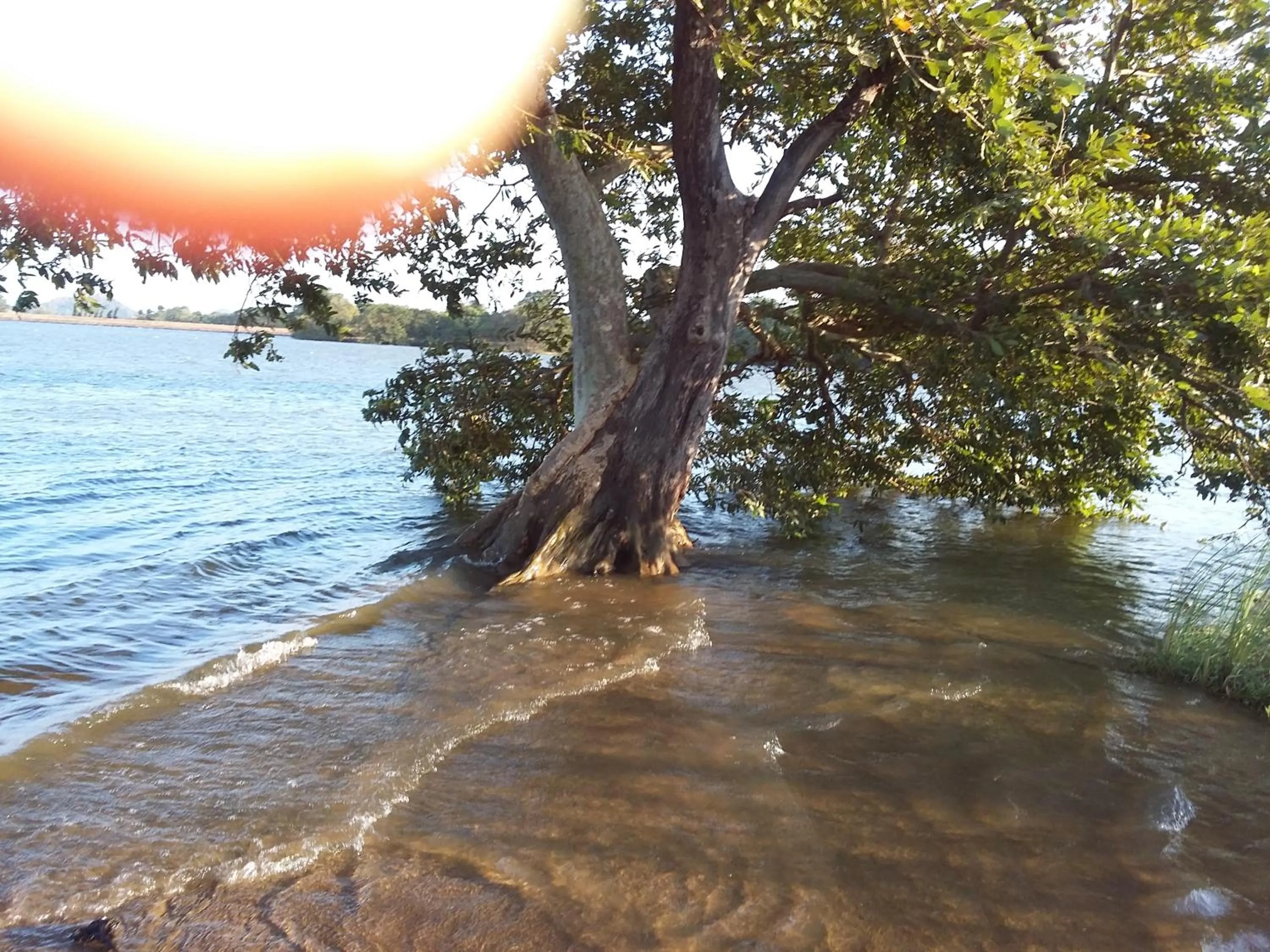 Niduwari Lake Homestay