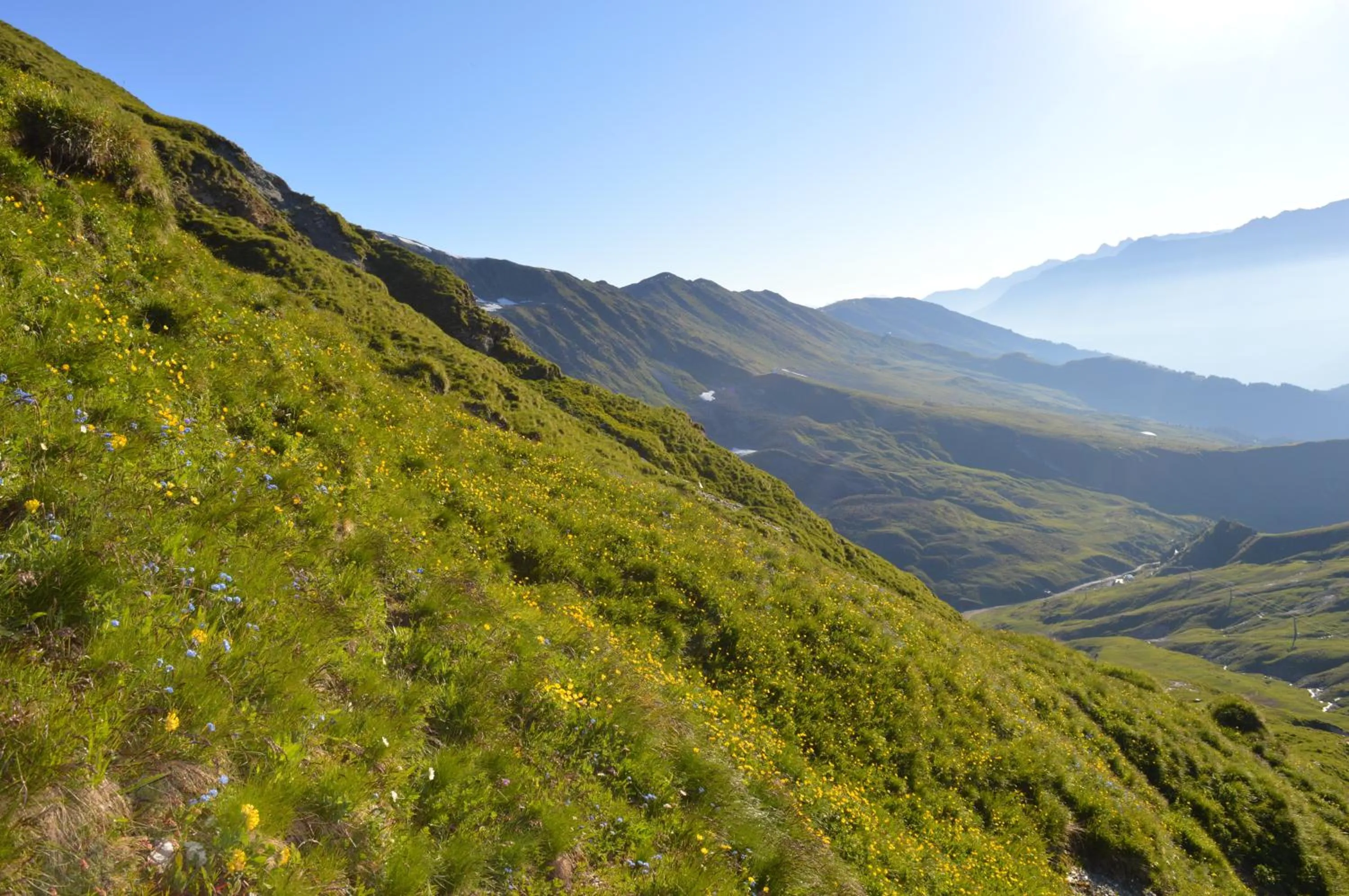 Natural landscape in Hotel Jennys Schlössl