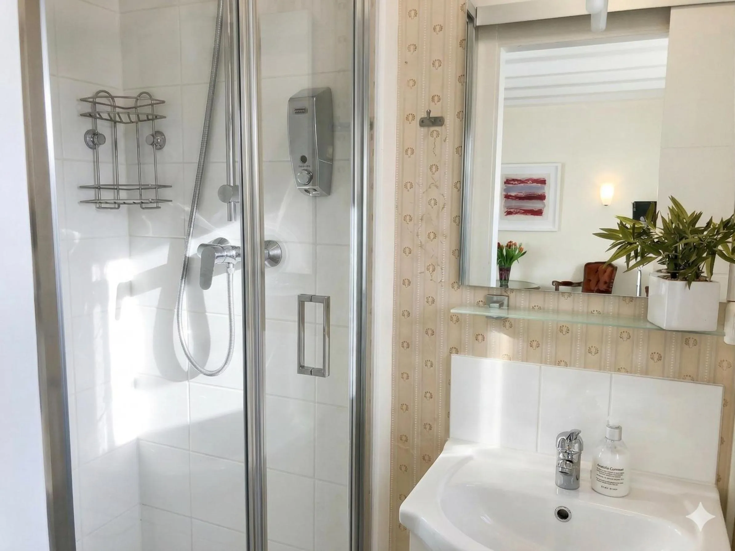 Shower in Rhein River Guesthouse - direkt am Rhein