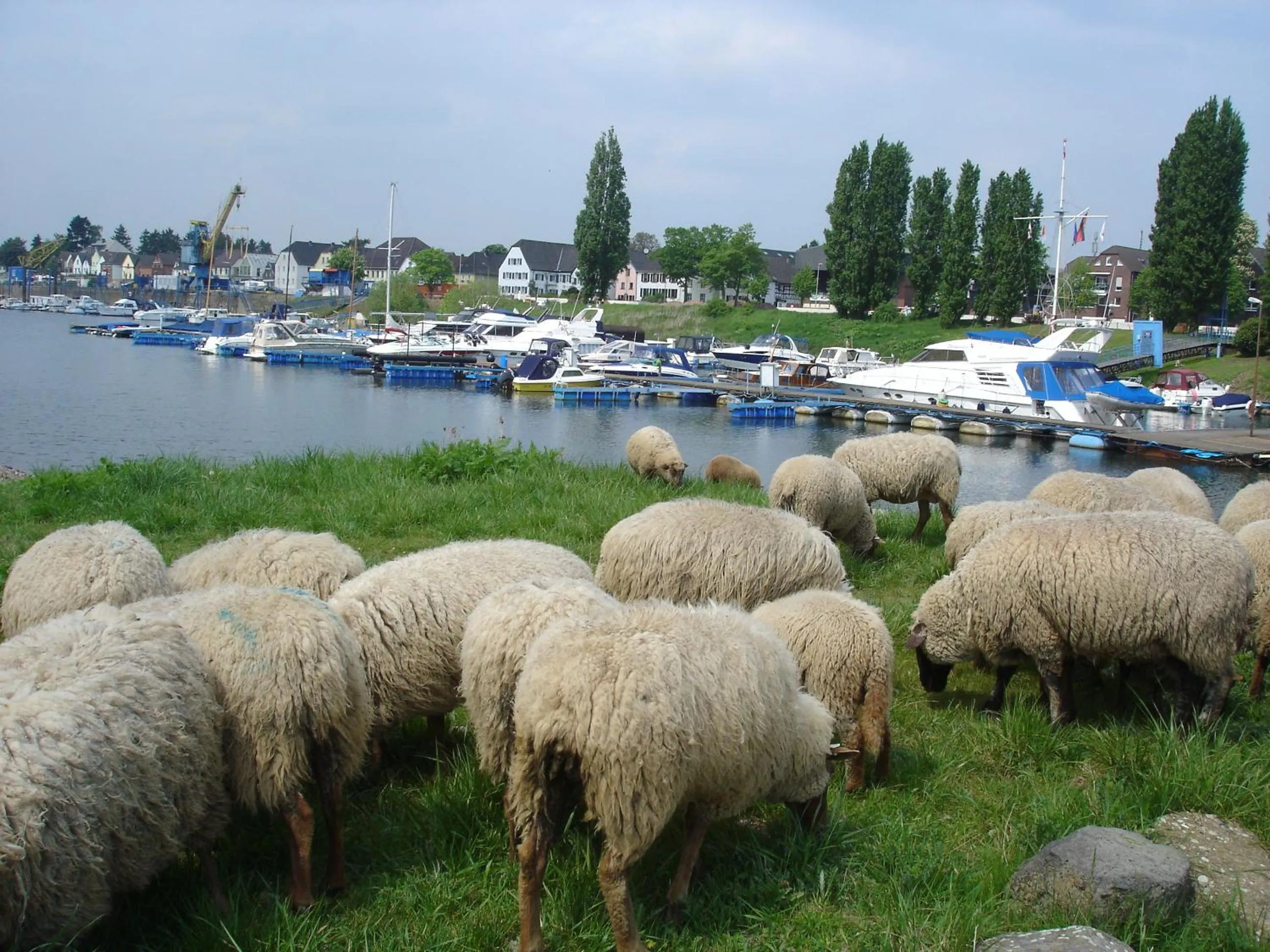 Area and facilities in Rhein River Guesthouse - direkt am Rhein