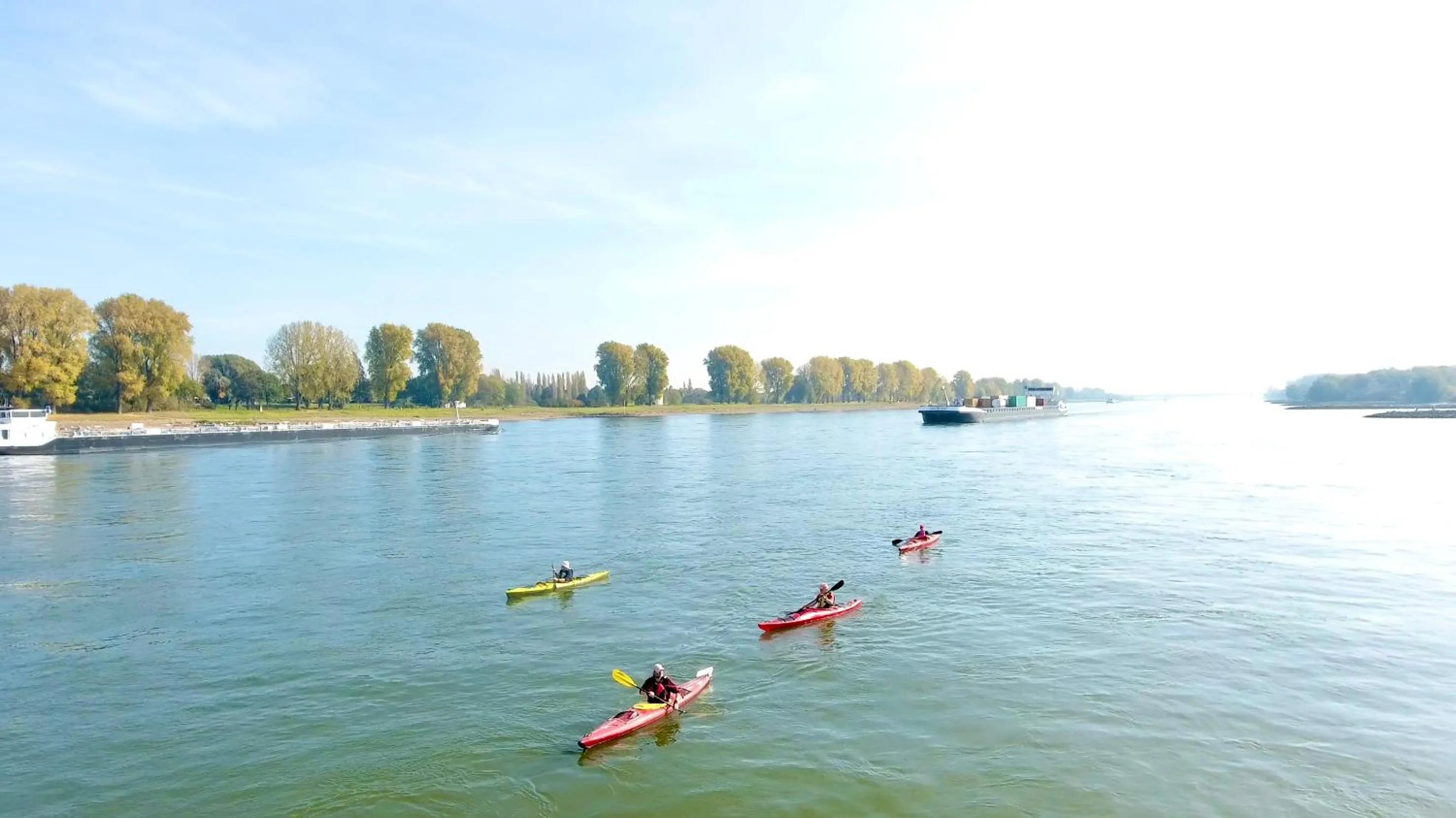 Natural landscape in Rhein River Guesthouse - direkt am Rhein