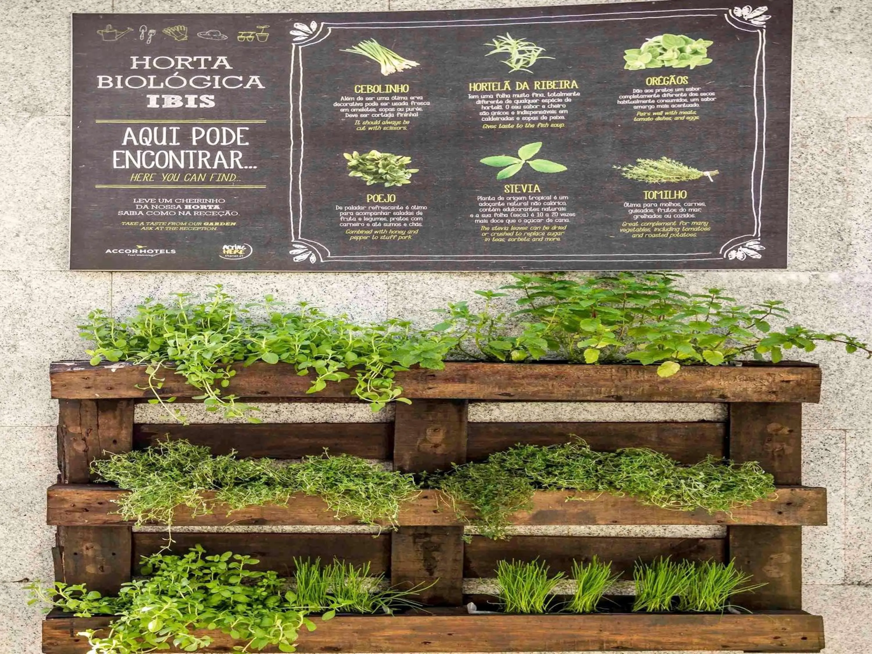 Restaurant/places to eat in Hotel ibis Guimaraes