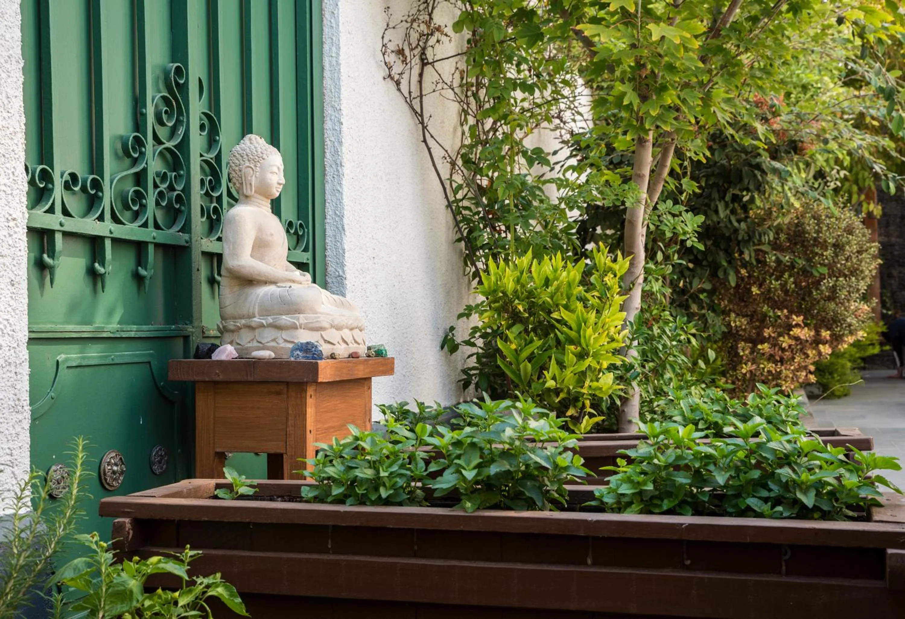 Garden in Esencia Hotel Boutique