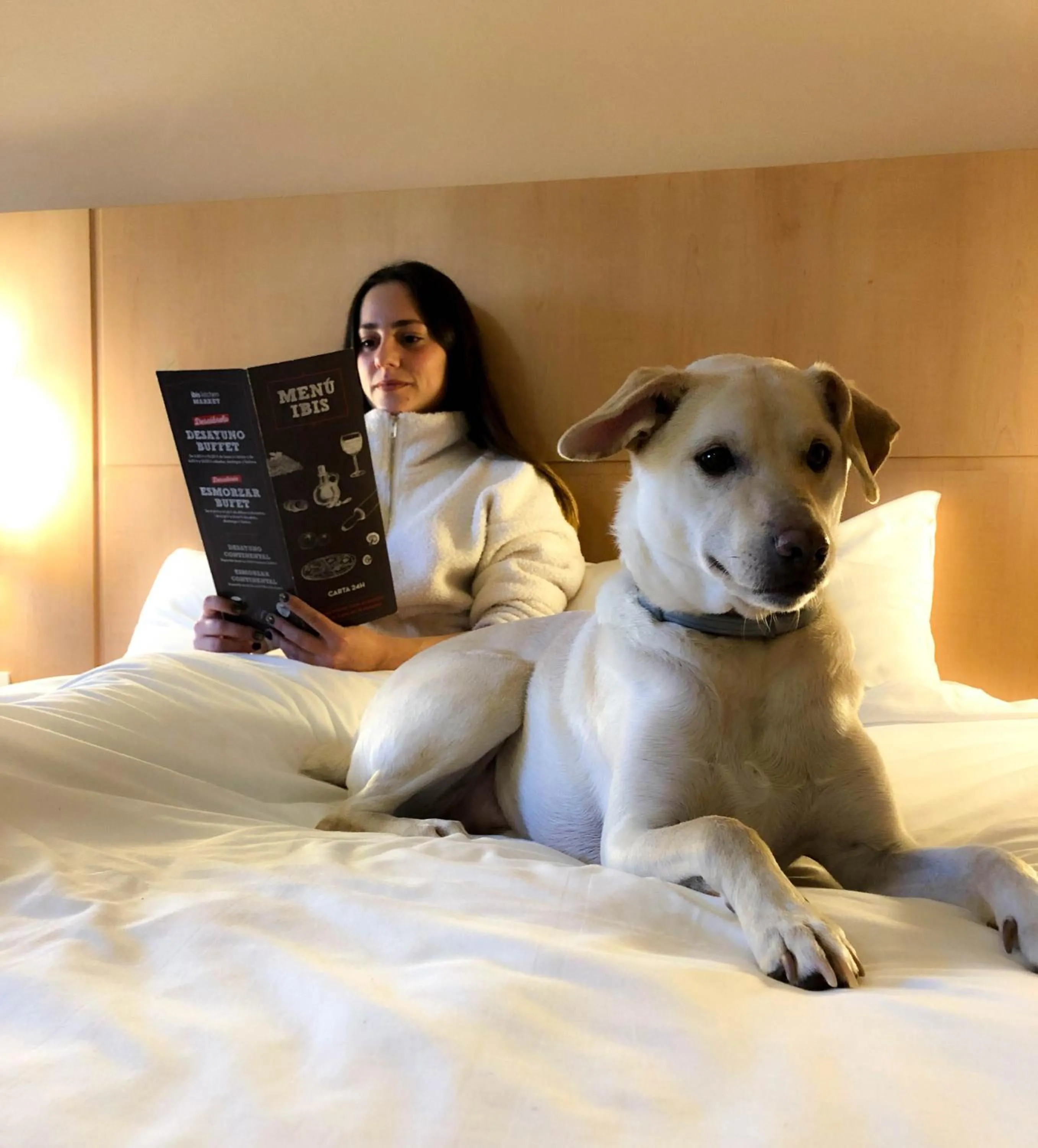 Pets in Hotel ibis Porto Sul Europarque