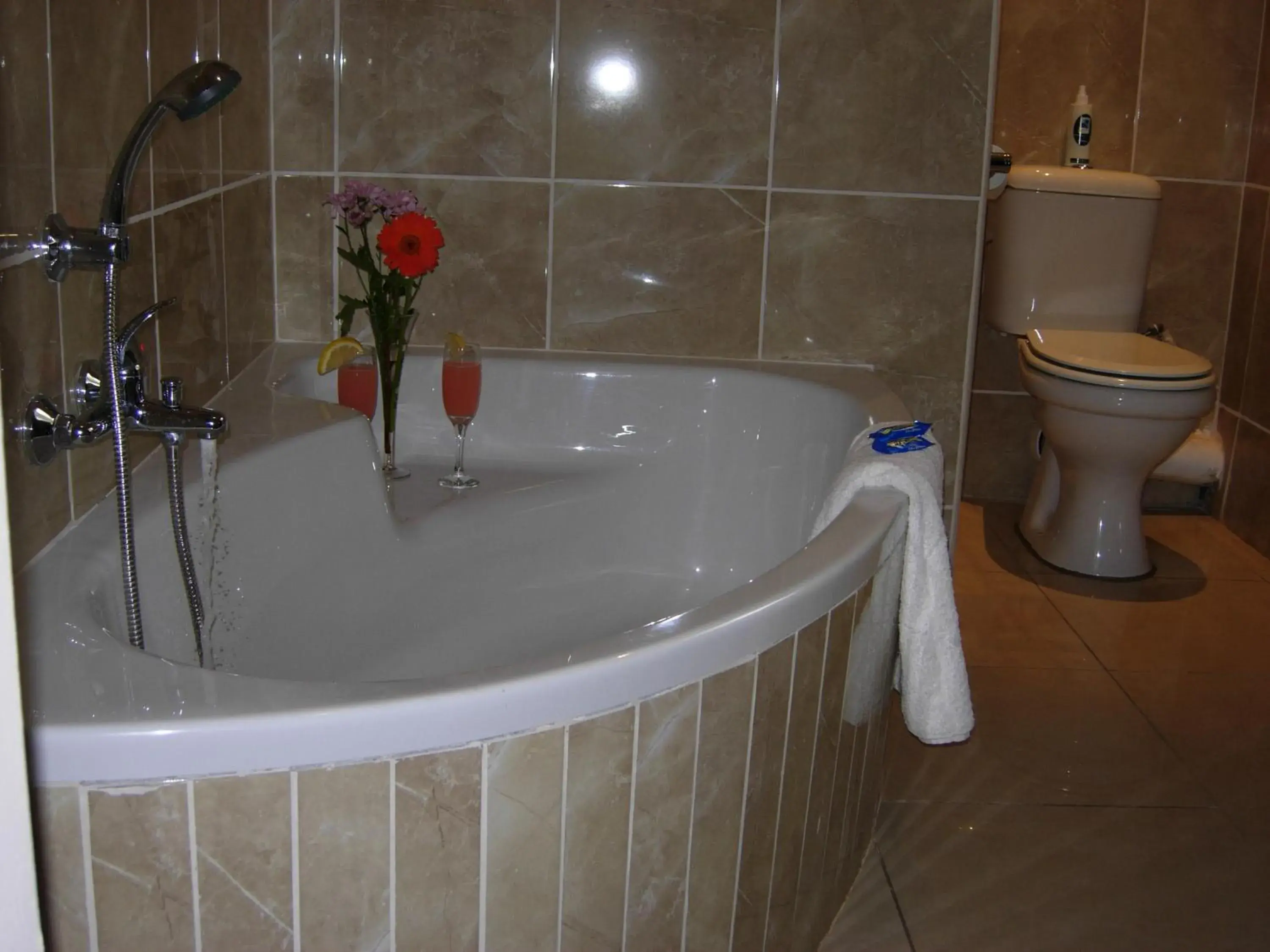 Rosenthal Guesthouse Rosenthal Guesthouse