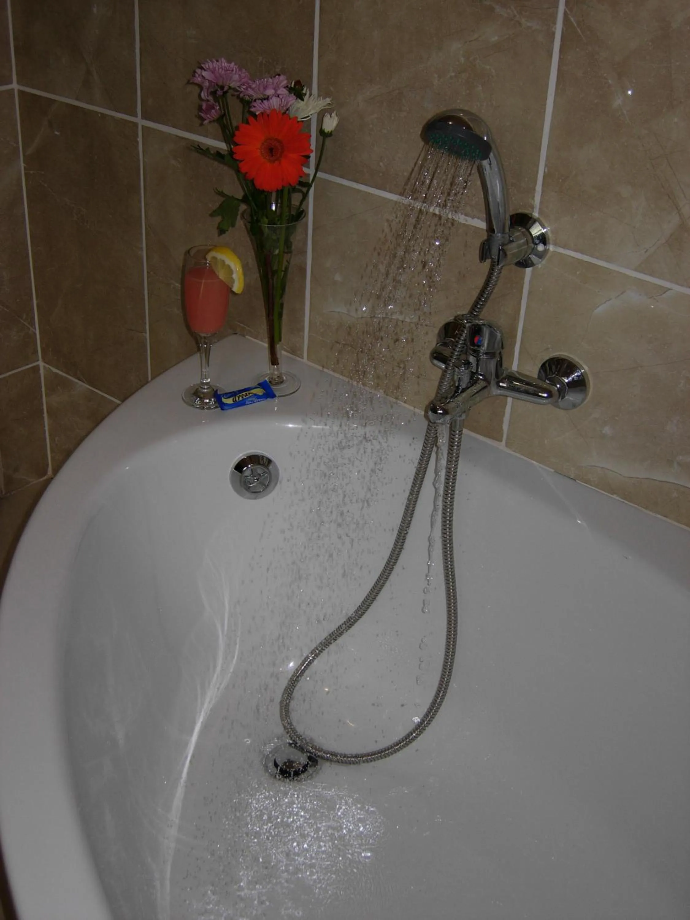 Rosenthal Guesthouse