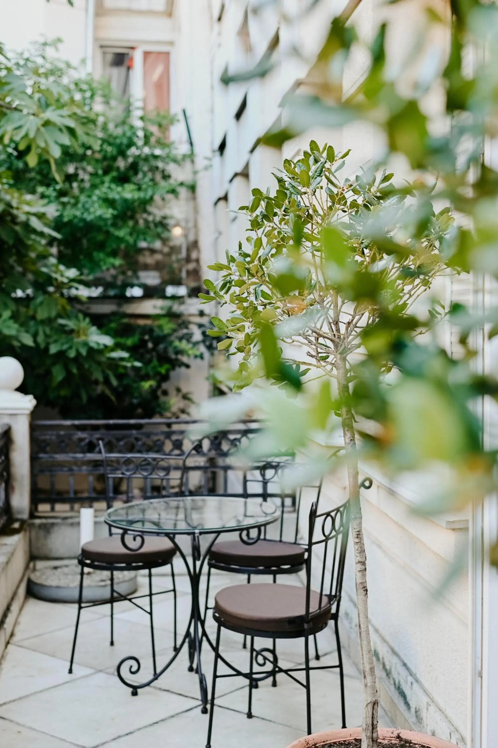 Garden in Hotel Jardin