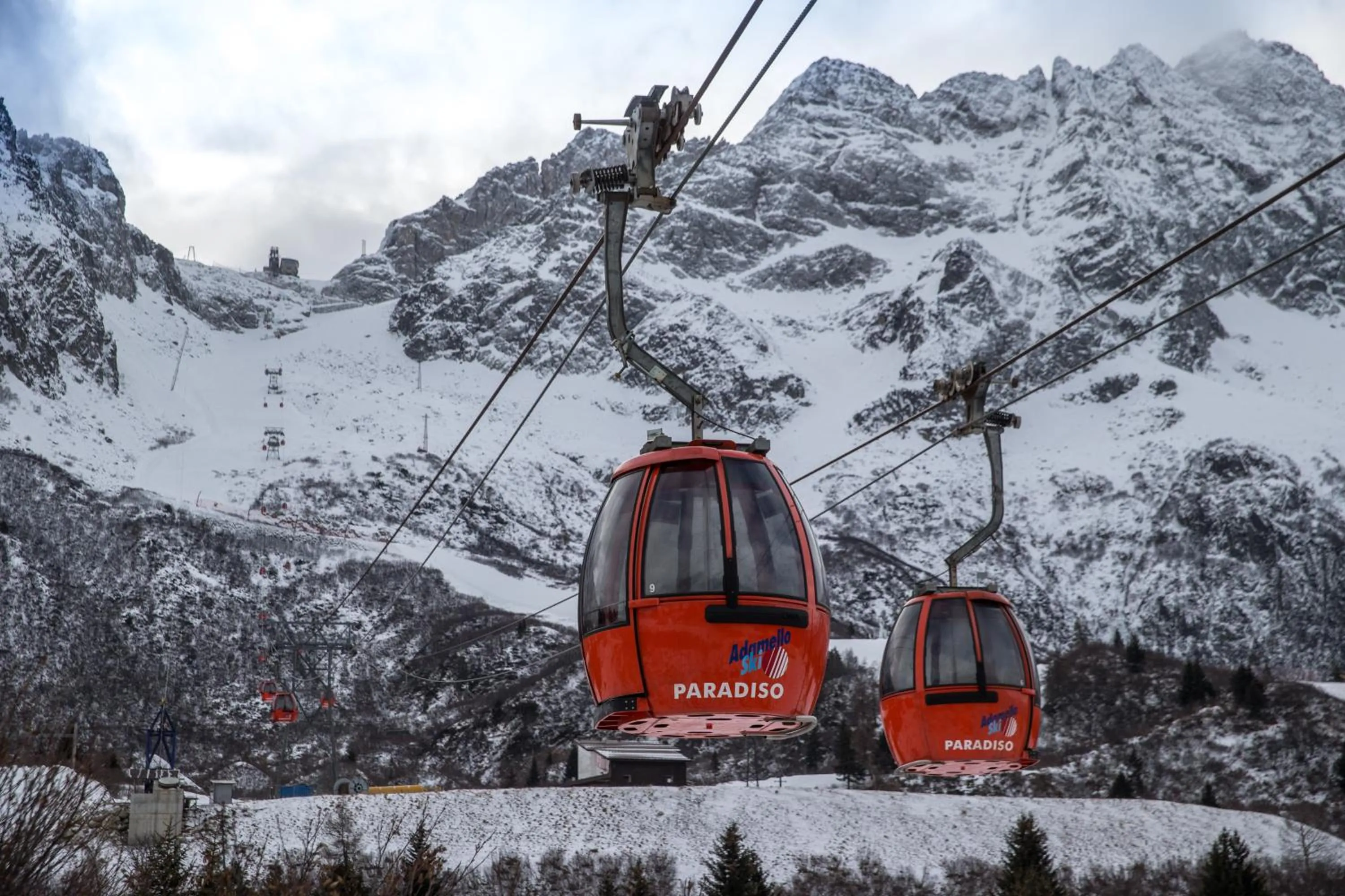 Alpencolor Hotel Tonale
