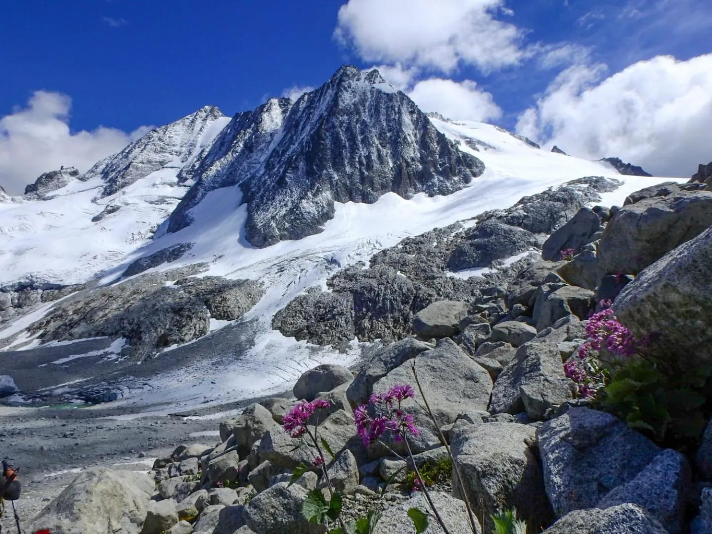 Alpencolor Hotel Tonale