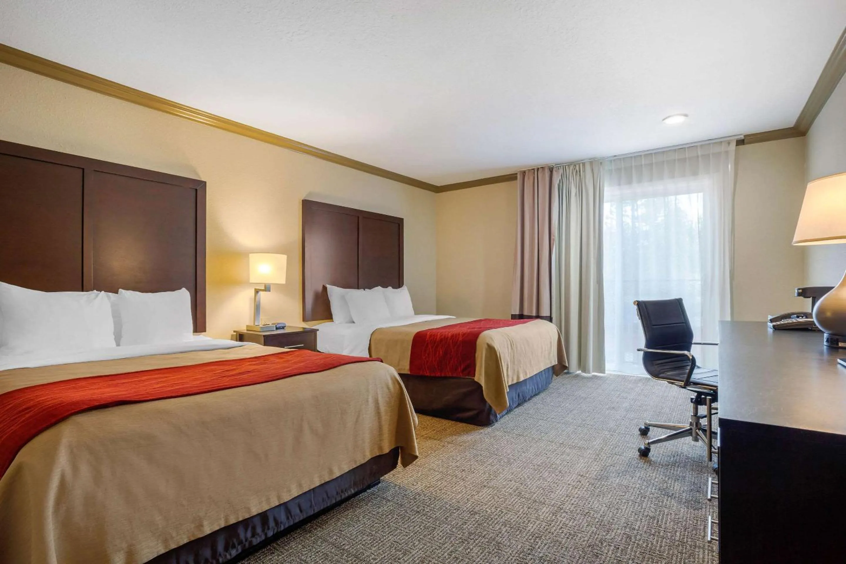 Photo of the whole room, Bed in Comfort Inn Castro Valley