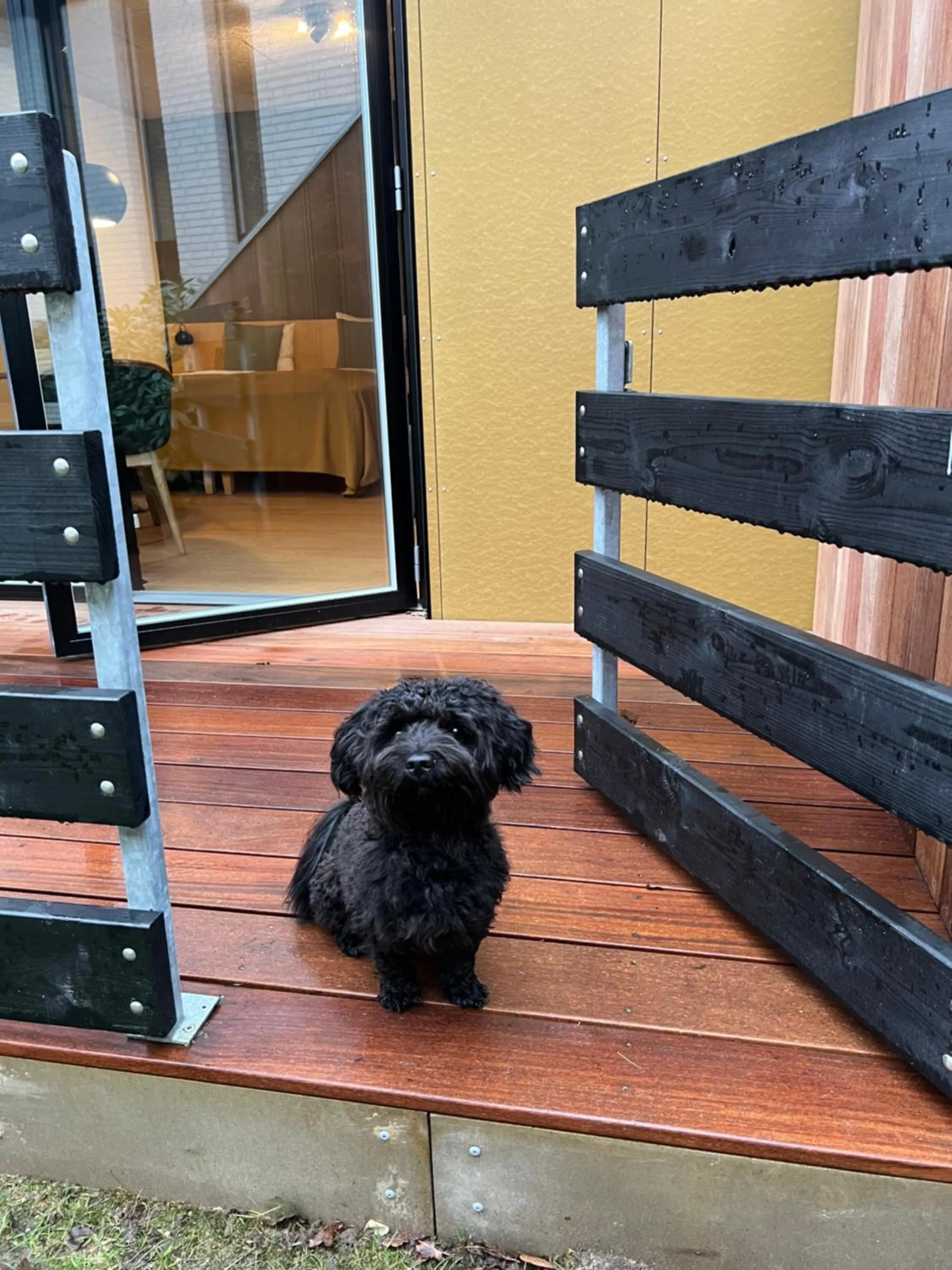 Pets in Fjordgaarden - Spa - Hotel - Konference