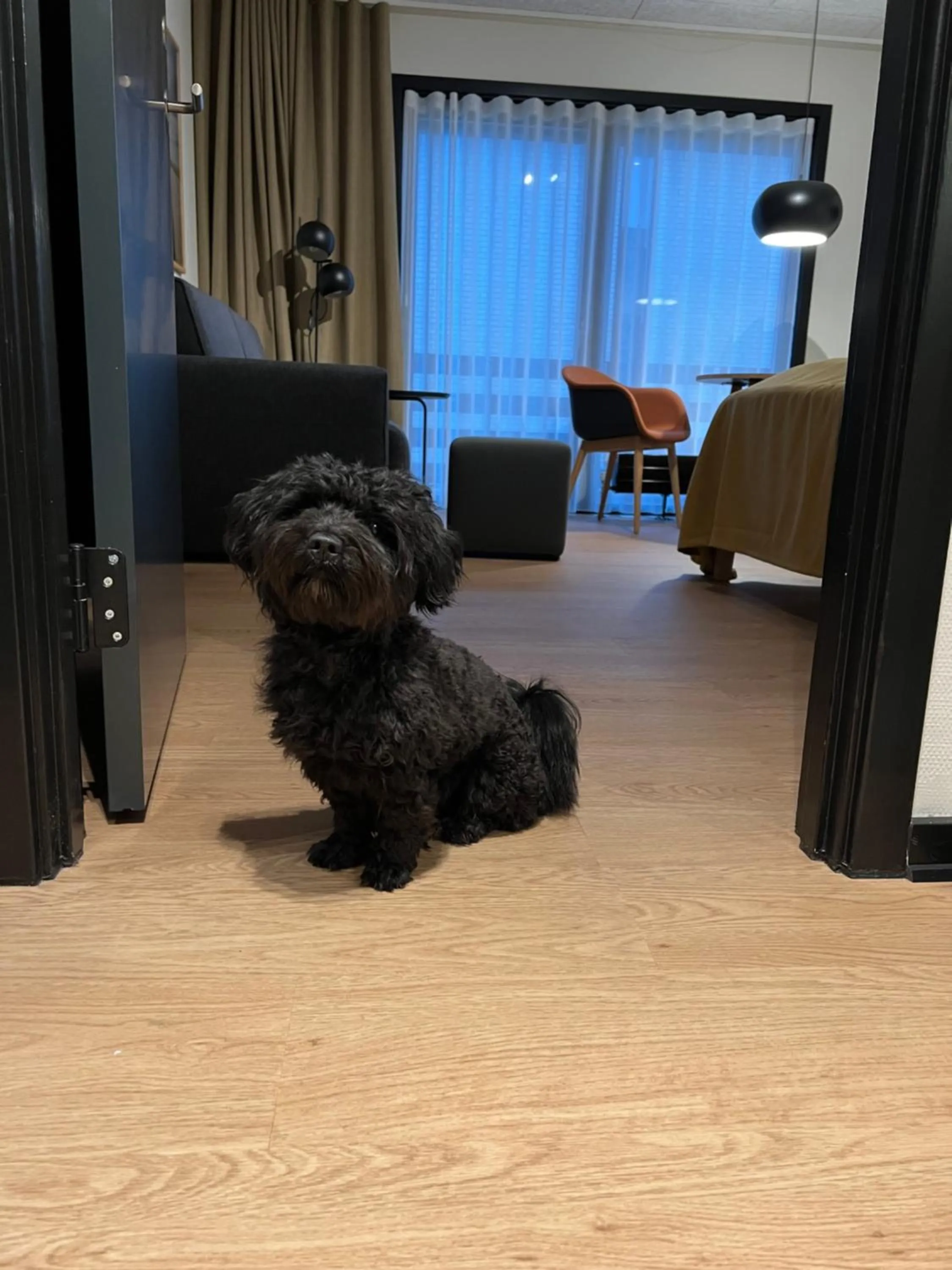 Pets in Fjordgaarden - Spa - Hotel - Konference