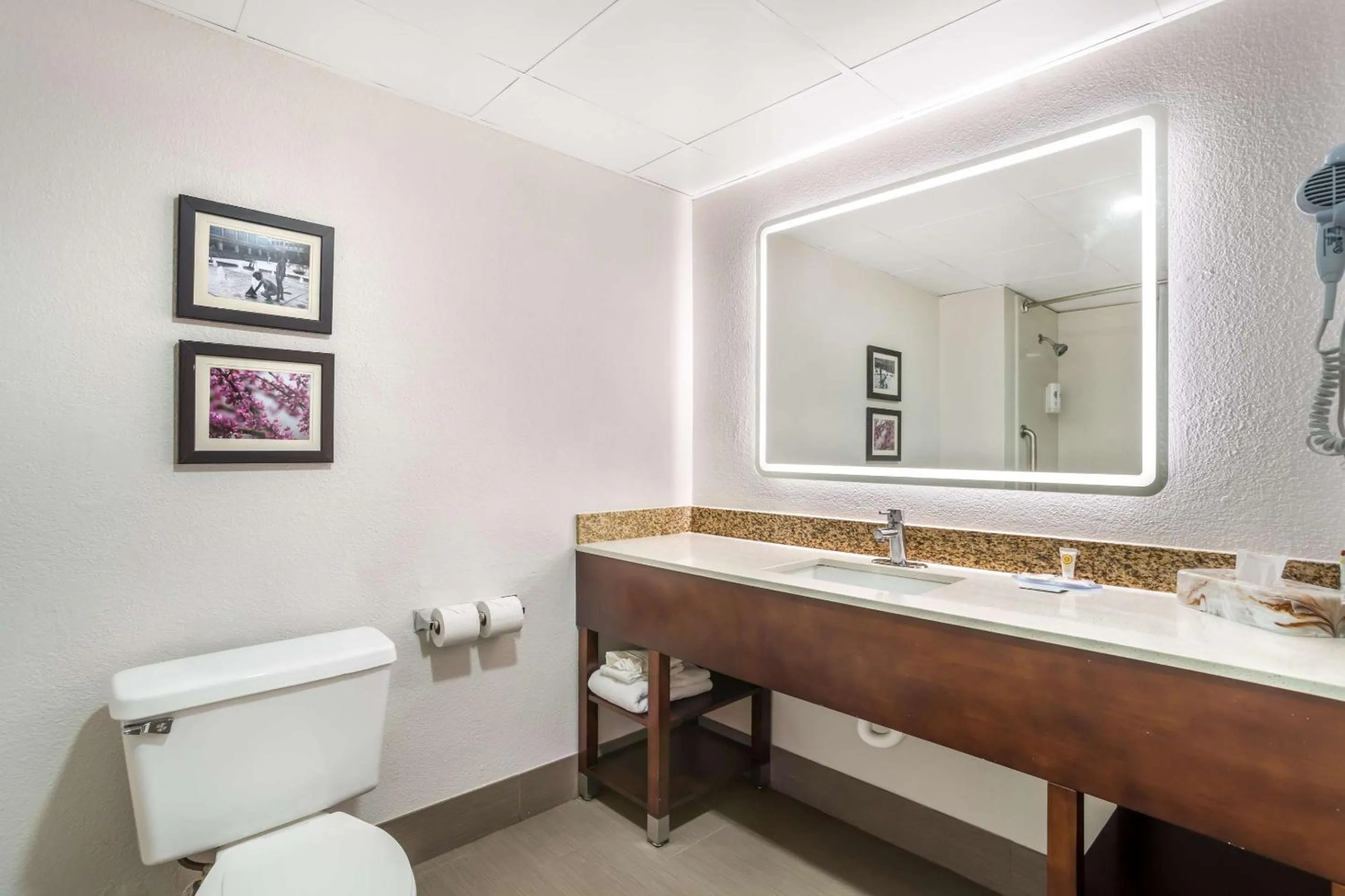 Bedroom in Comfort Inn Charlotte Airport Uptown