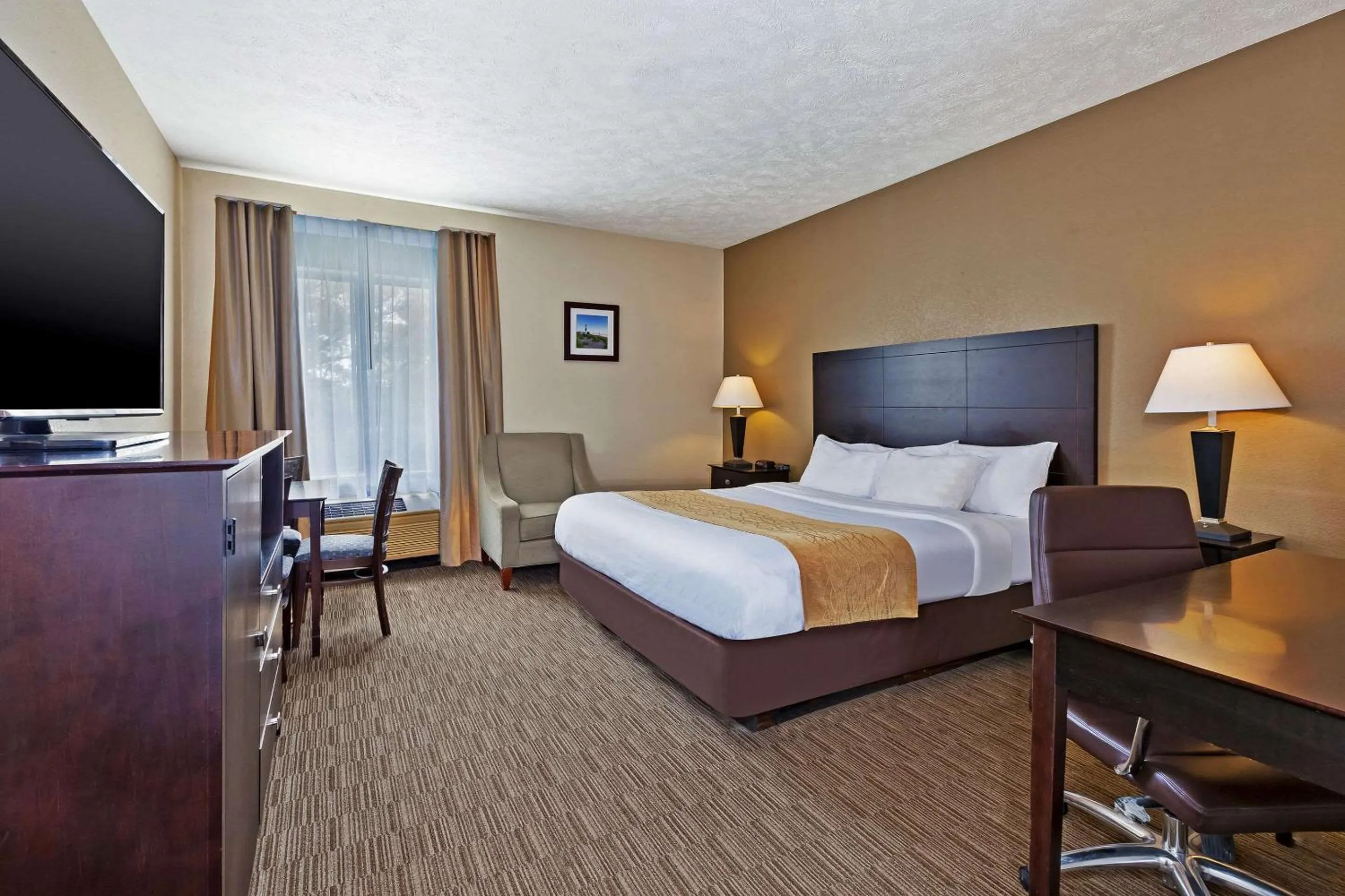 Bedroom, Bed in Comfort Inn Whitehall near Michigan's Adventure