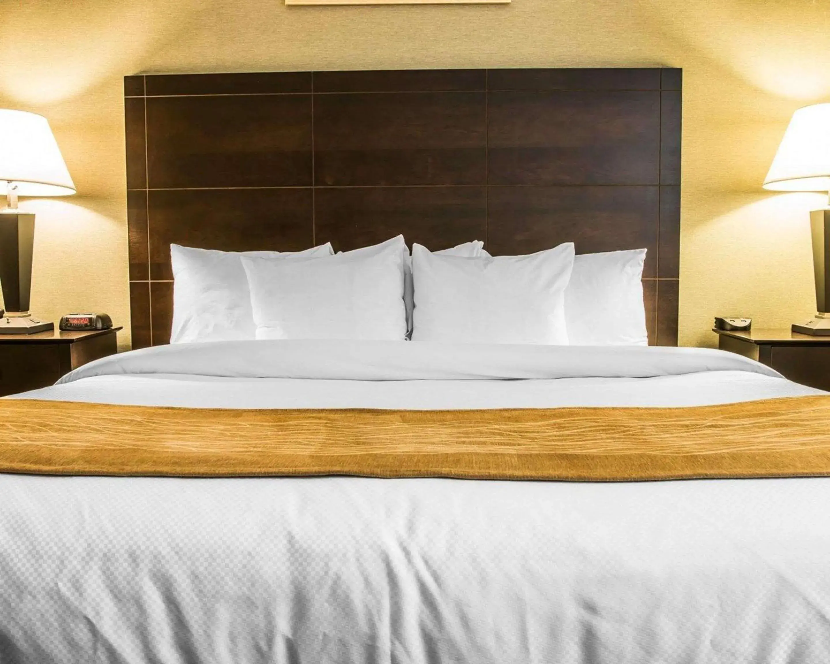 Bedroom, Bed in Comfort Inn Whitehall near Michigan's Adventure Bedroom, Bed in Comfort Inn Whitehall near Michigan's Adventure