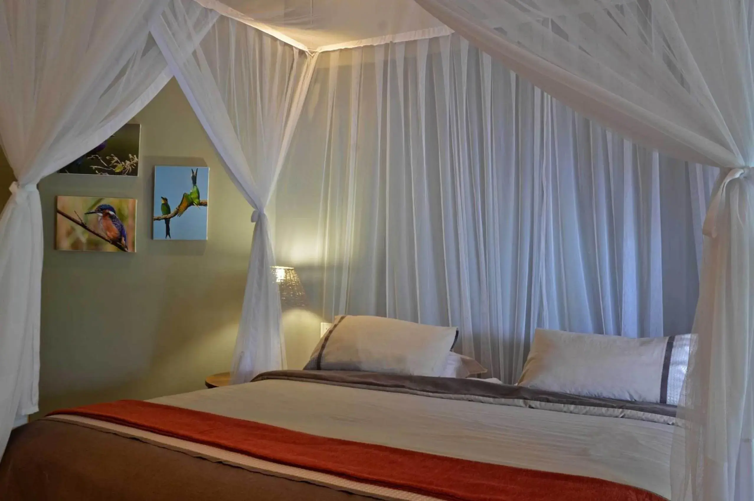Double Room - single occupancy in Tingala Lodge - Bed in the Bush Double Room - single occupancy in Tingala Lodge - Bed in the Bush