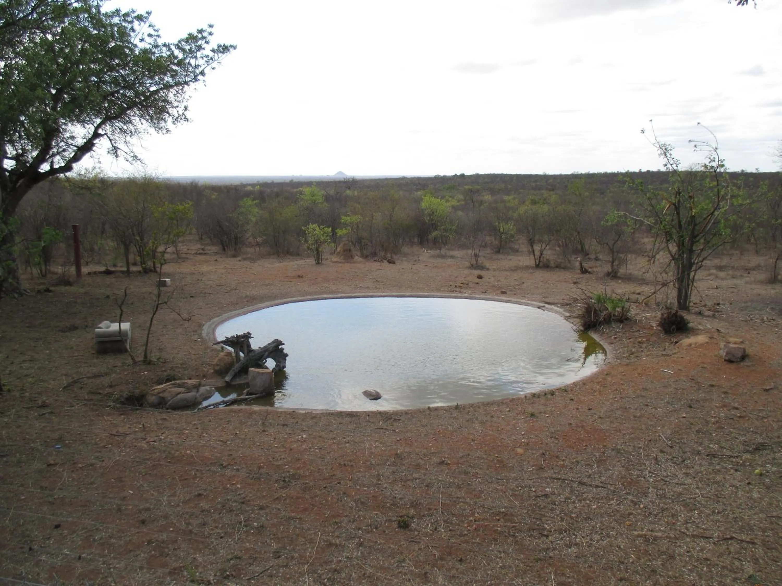 Natural landscape in Tingala Lodge - Bed in the Bush