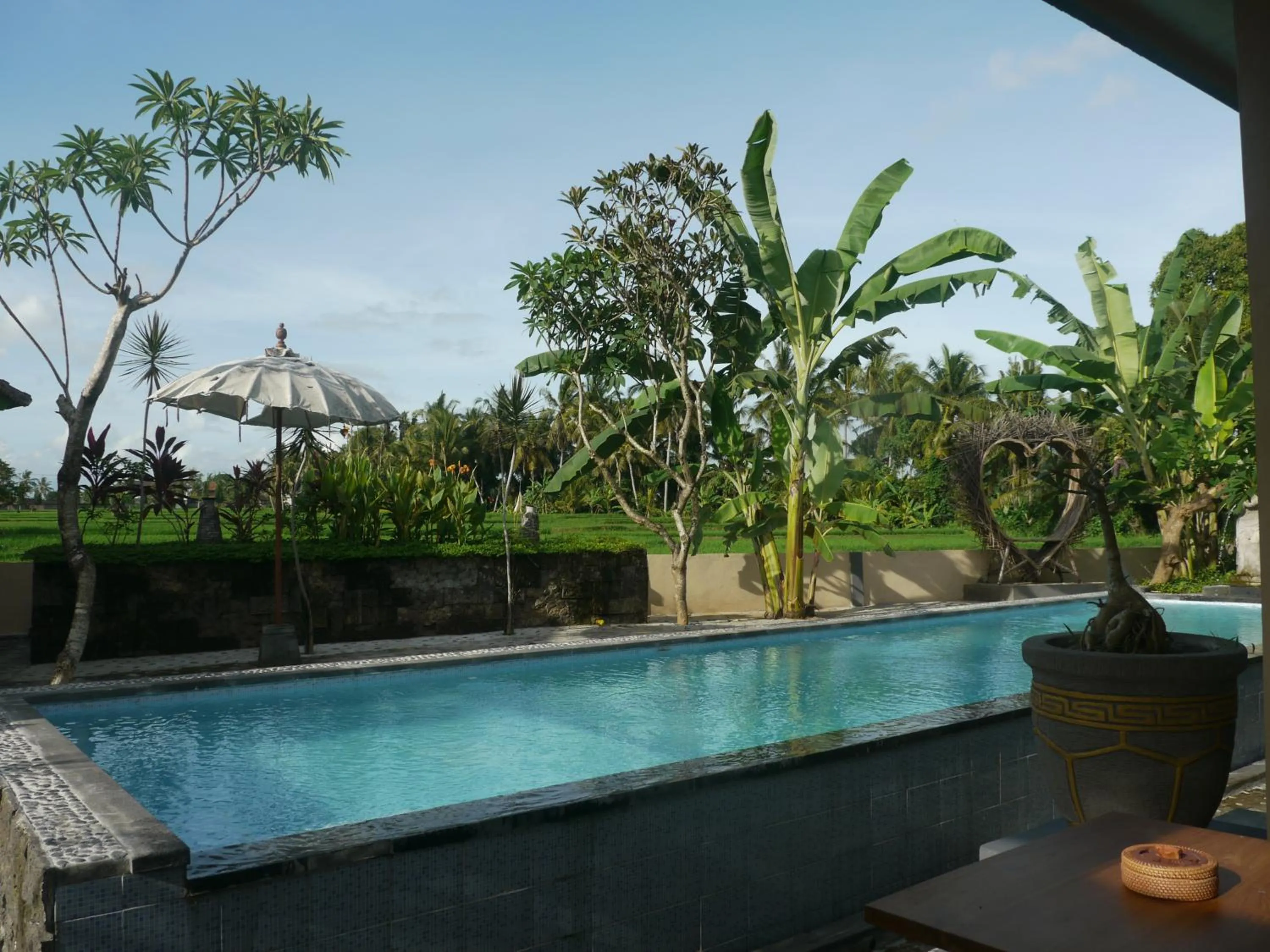 Swimming pool in Asri Sari Ubud Villa & Resort