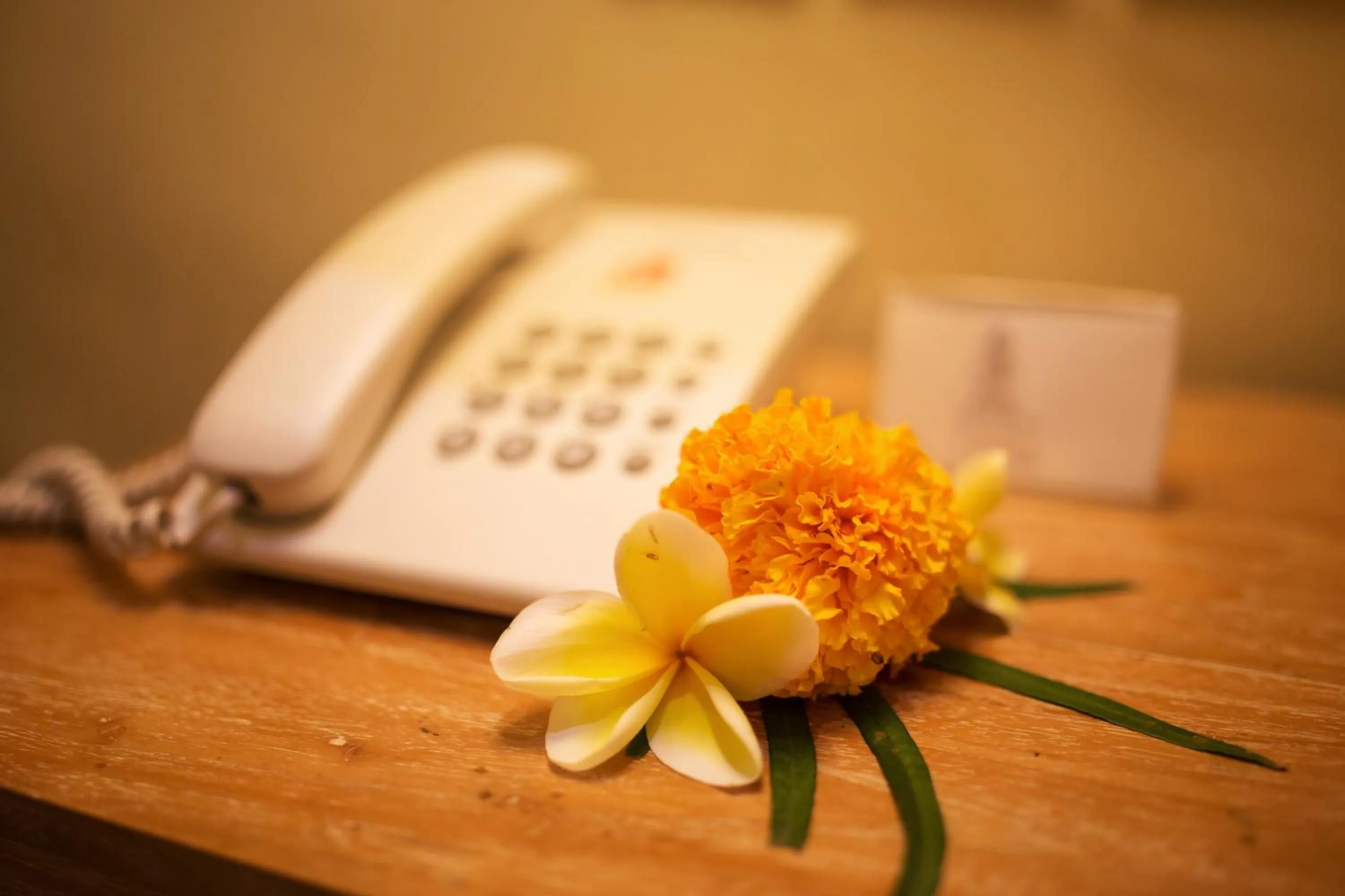 Business facilities in Asri Sari Ubud Villa & Resort