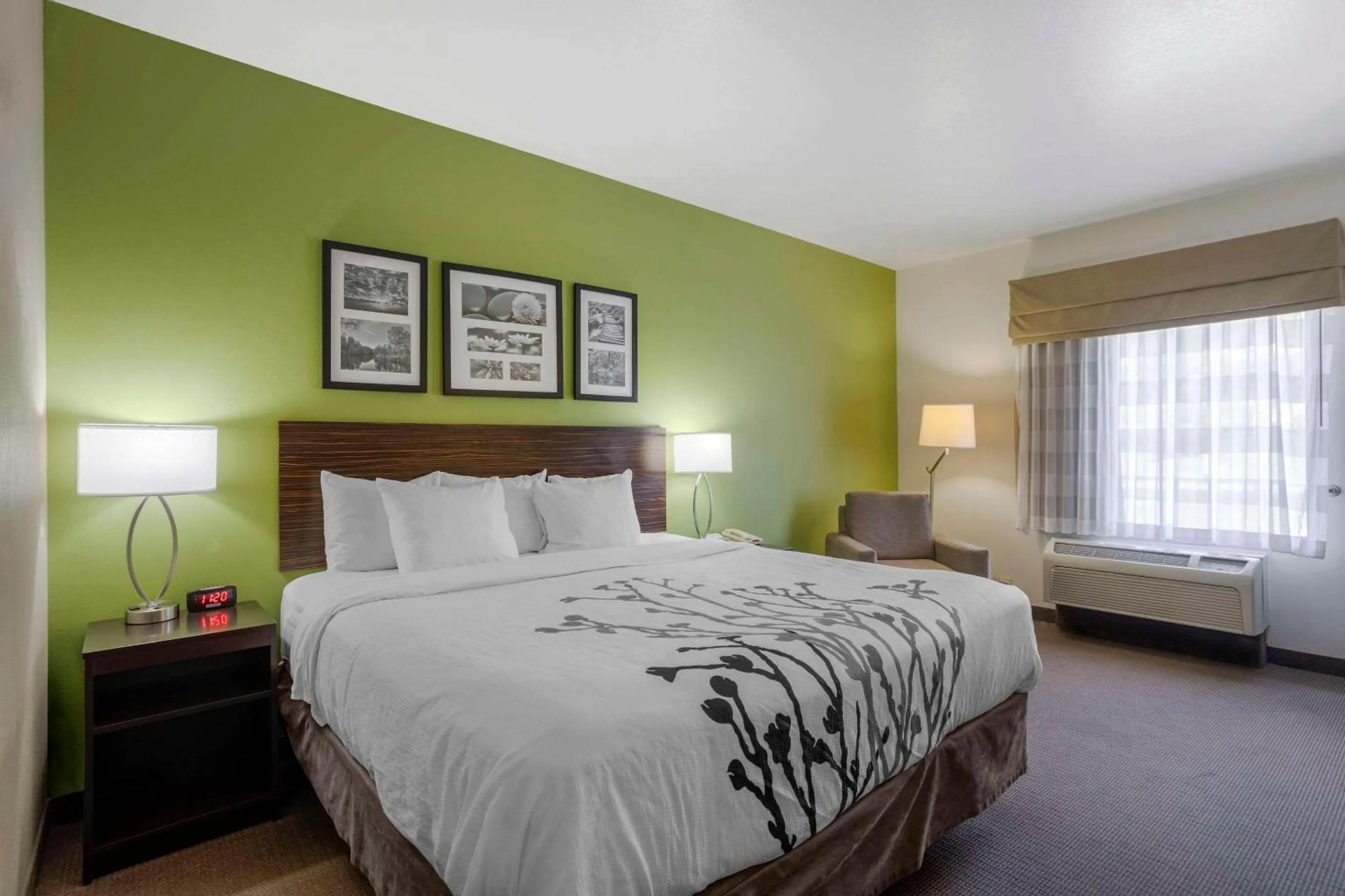 Bedroom, Bed in Sleep Inn & Suites Cave City