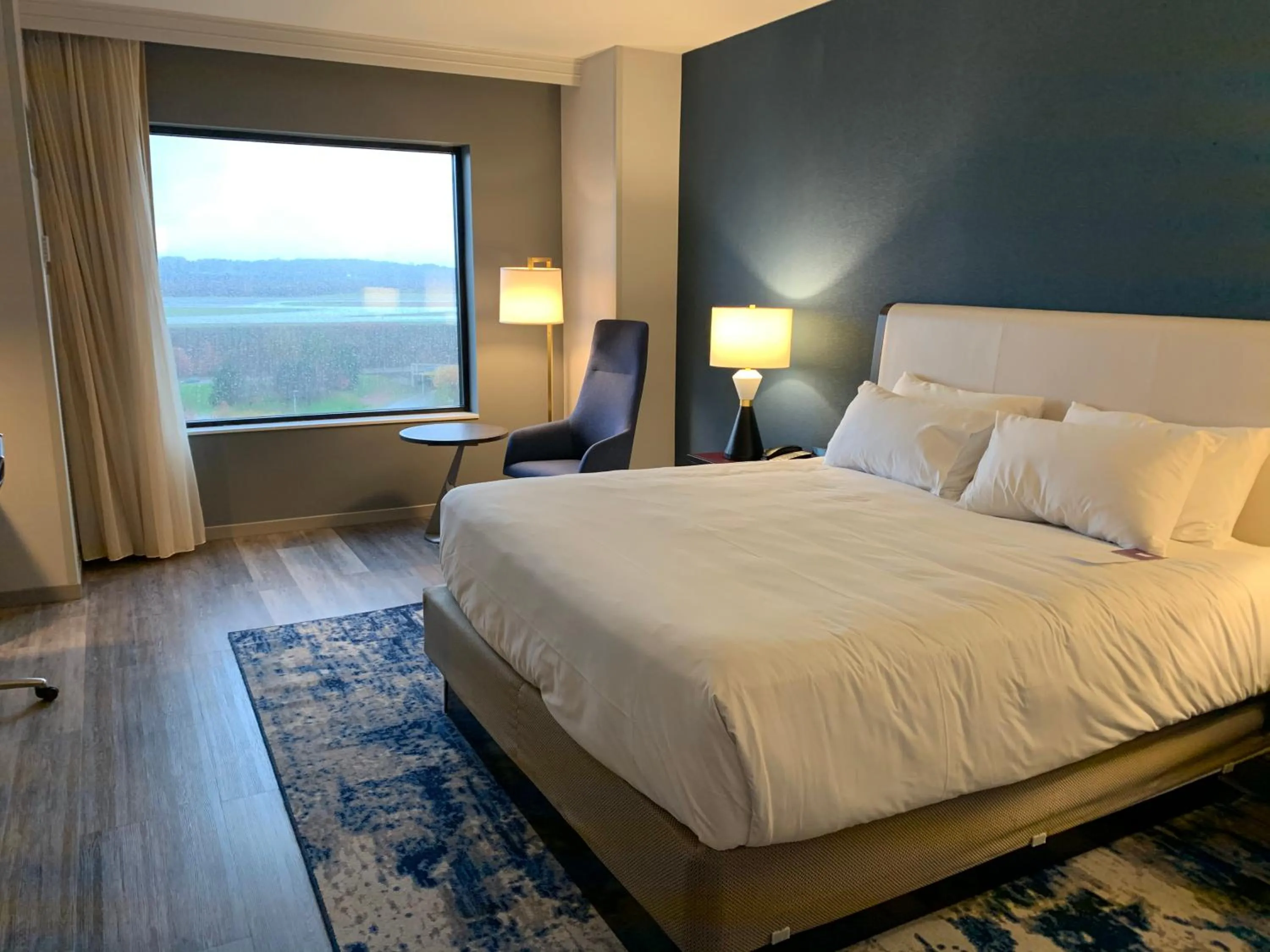 Landmark view, Bed in Hyatt Regency Pittsburgh International Airport