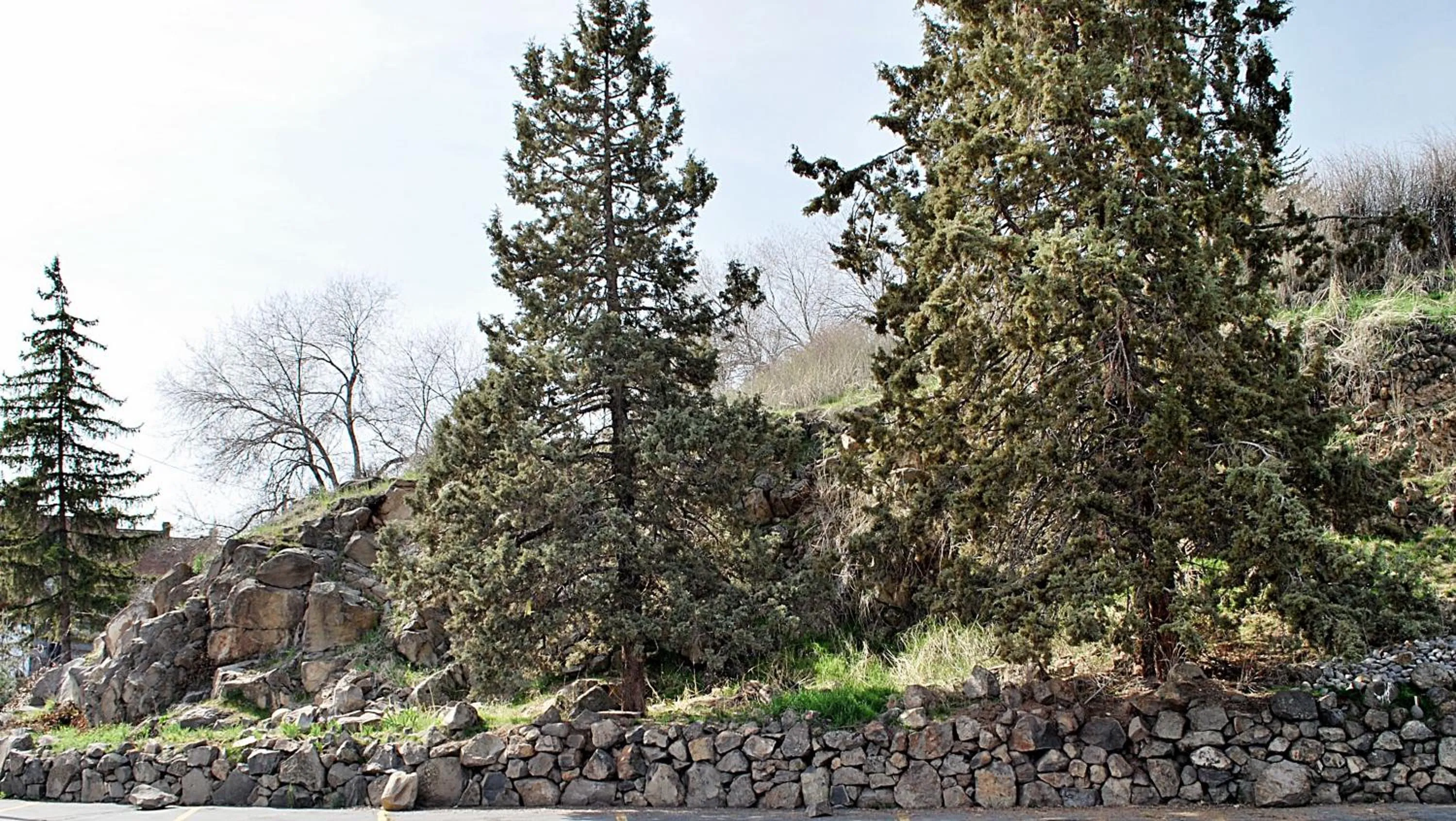 Natural landscape in Travelodge by Wyndham Klamath Falls