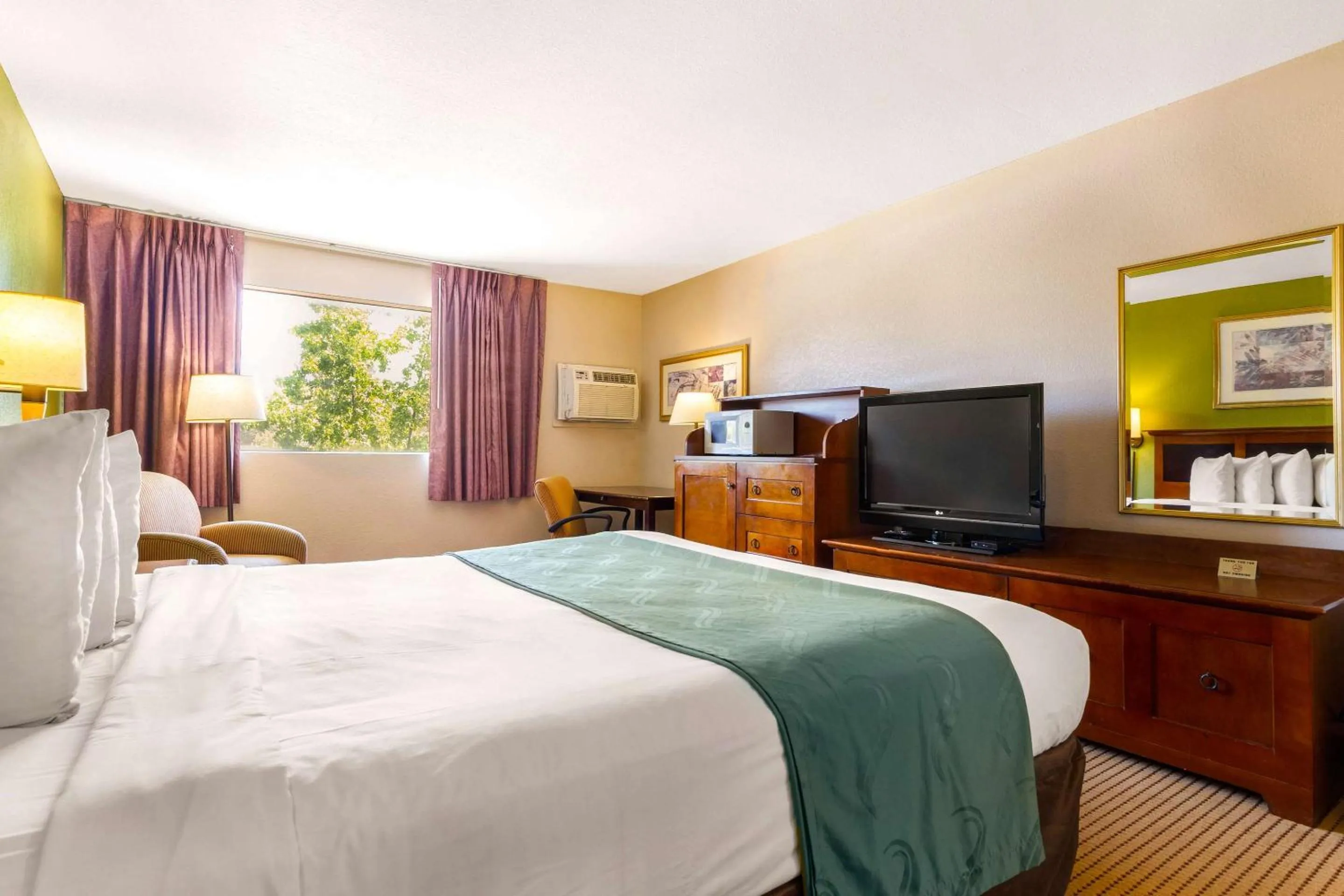 Bedroom in Rodeway Inn