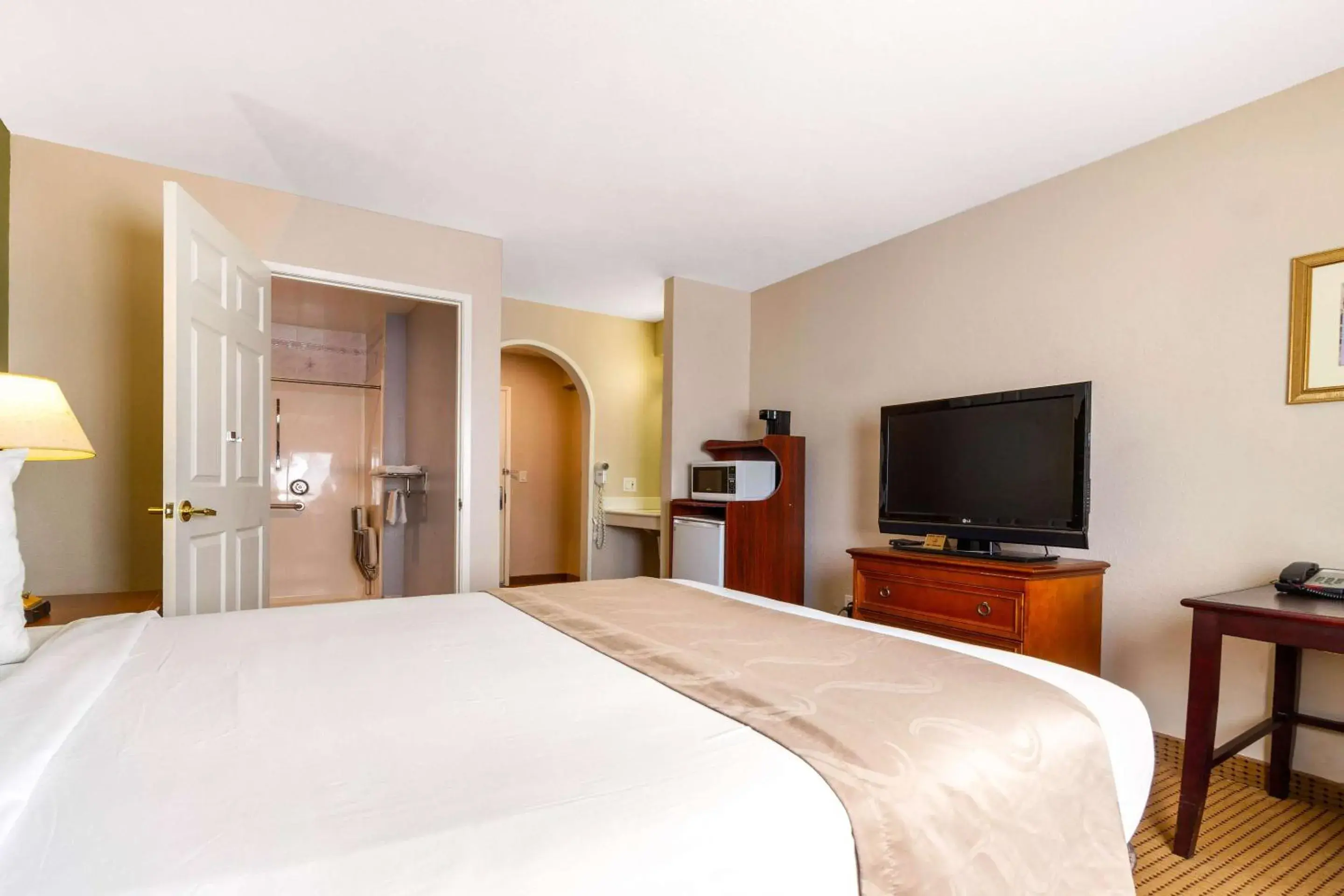 Bedroom in Rodeway Inn Bedroom in Rodeway Inn