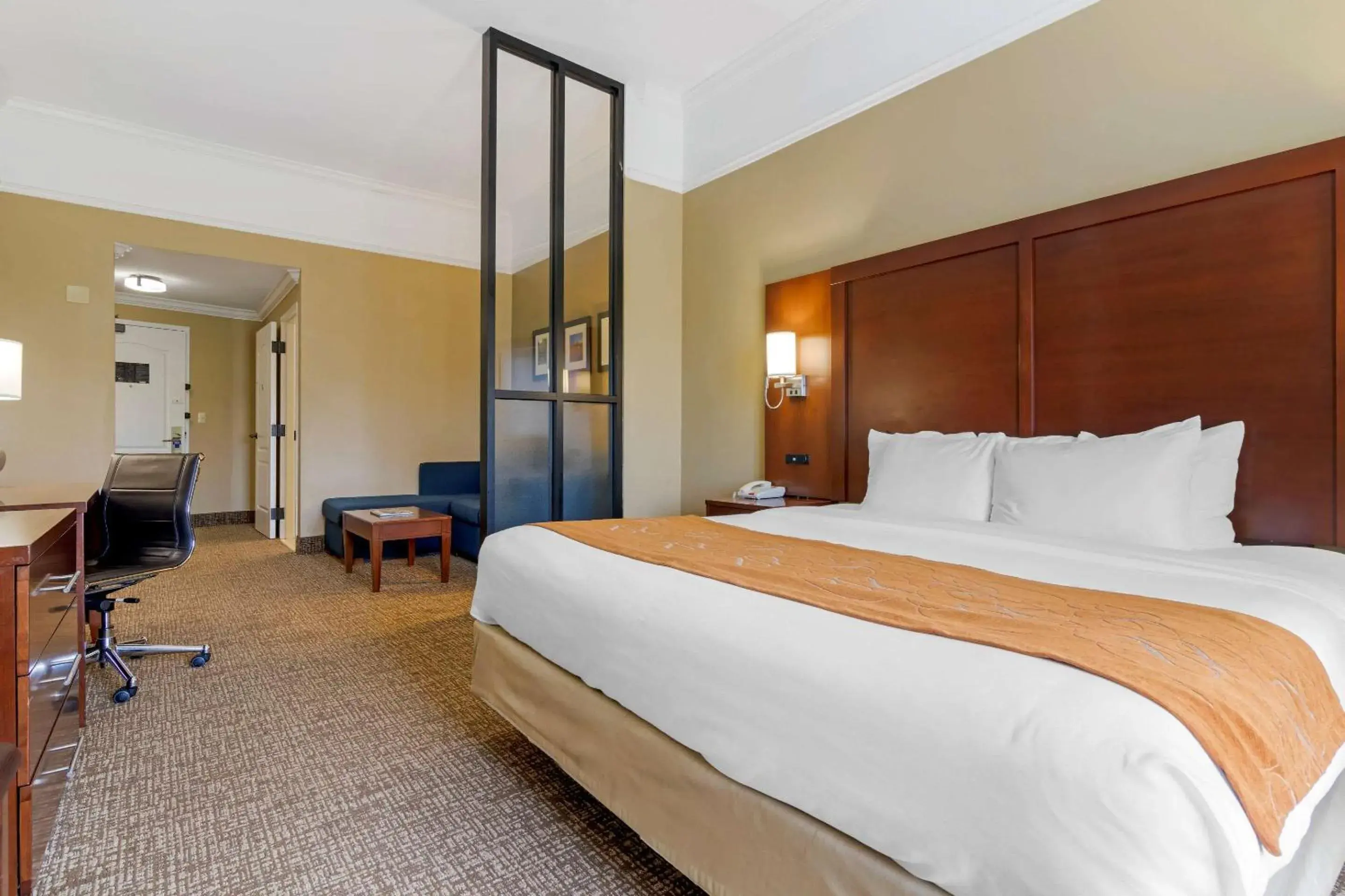 Photo of the whole room, Bed in Comfort Suites Savannah North Photo of the whole room, Bed in Comfort Suites Savannah North